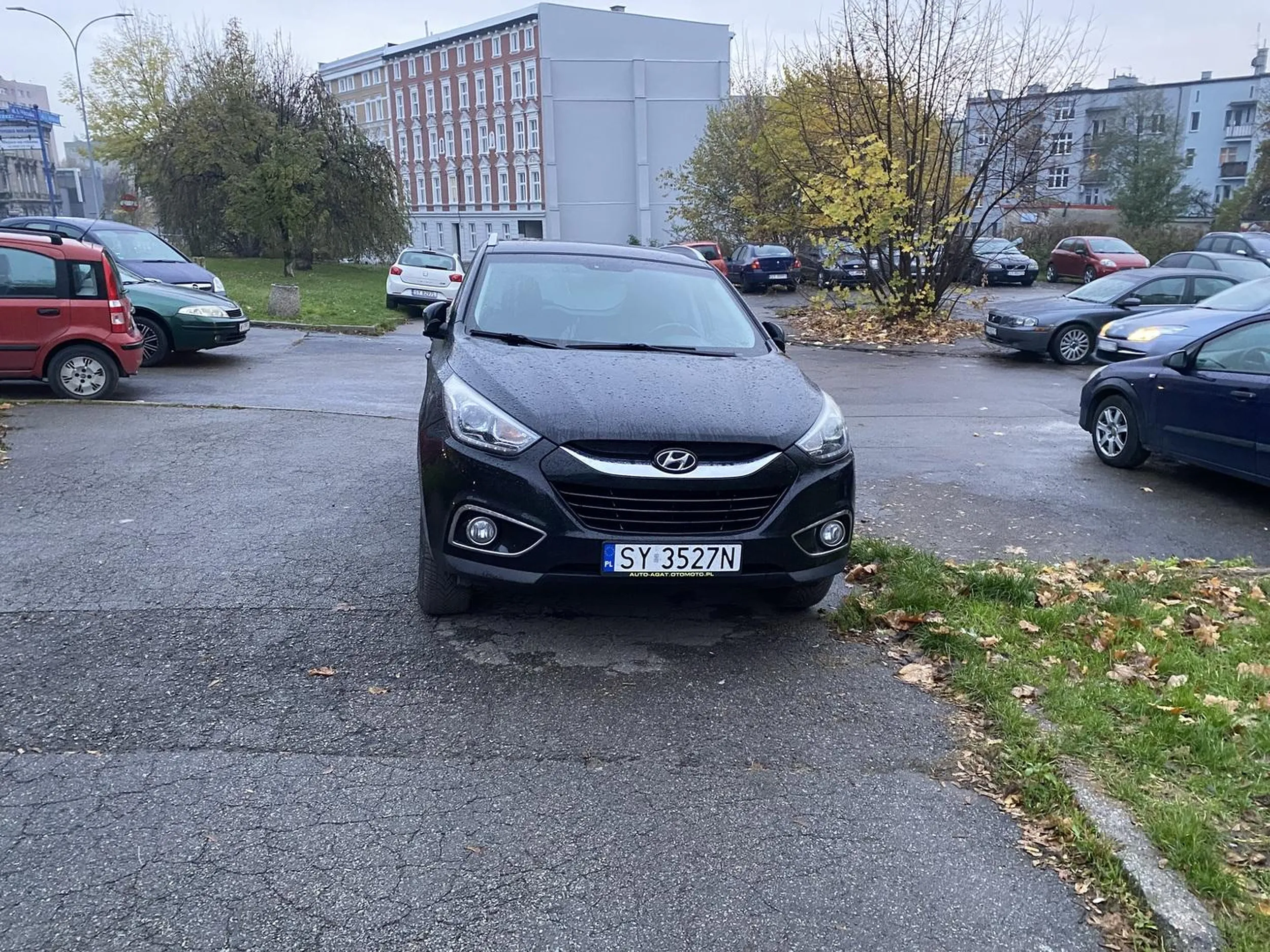Gwiazda notorycznie parkuje na wjeździe.