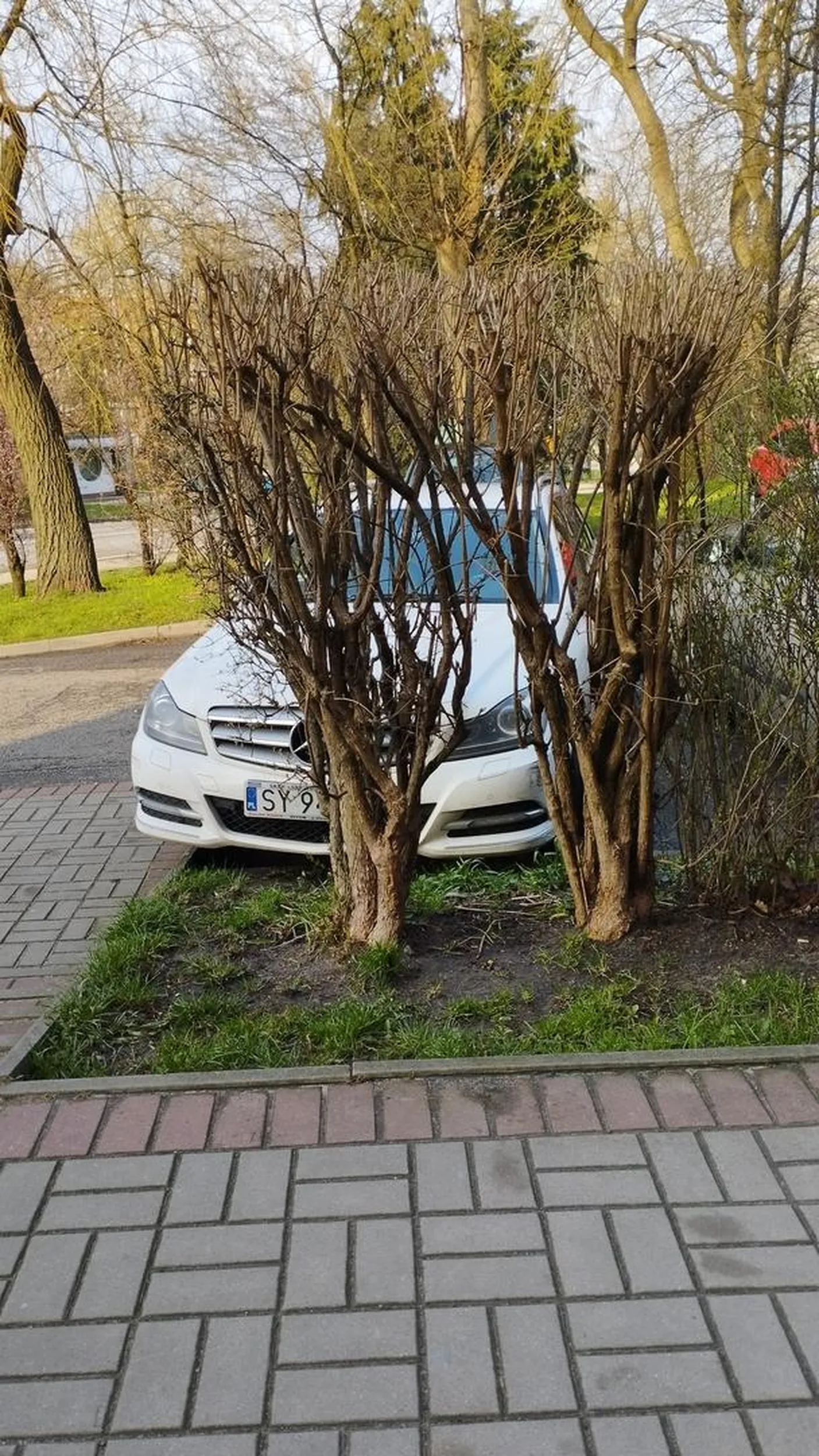 Karne "ku*sy" już były na szybie, a pajac i tak nie nauczył się prosto parkować.