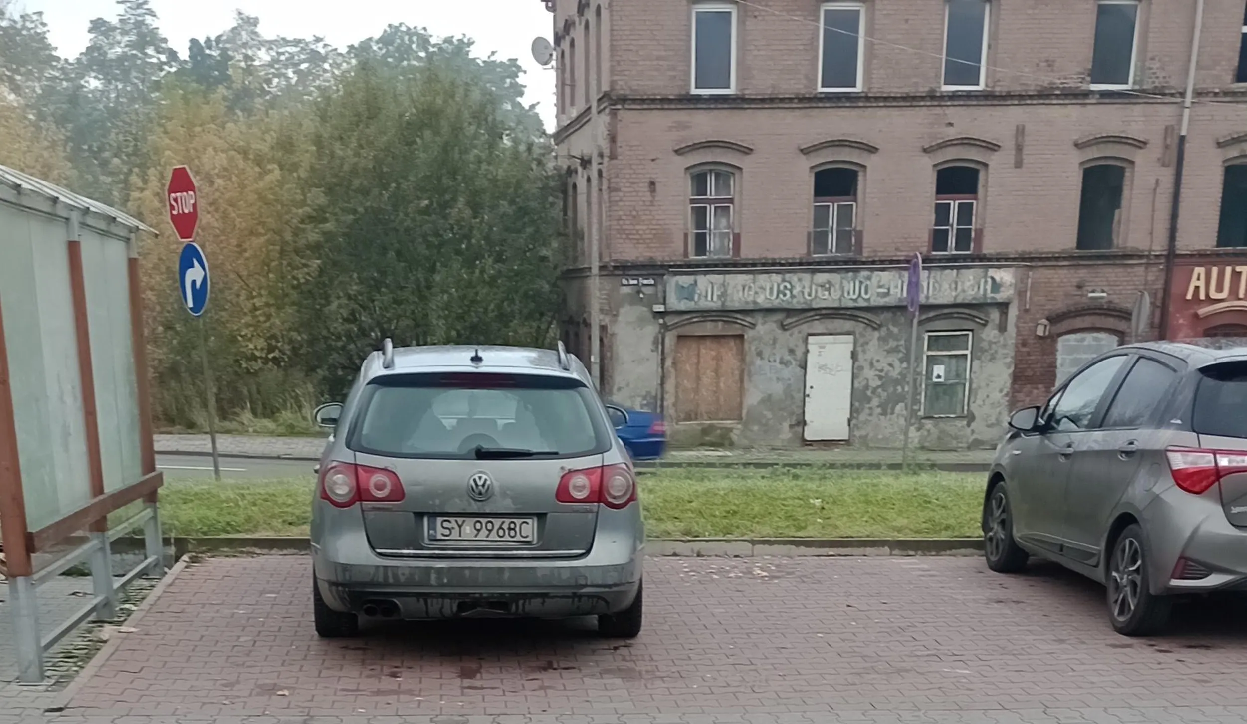 Samolub i ślepiec nieumiejący parkować