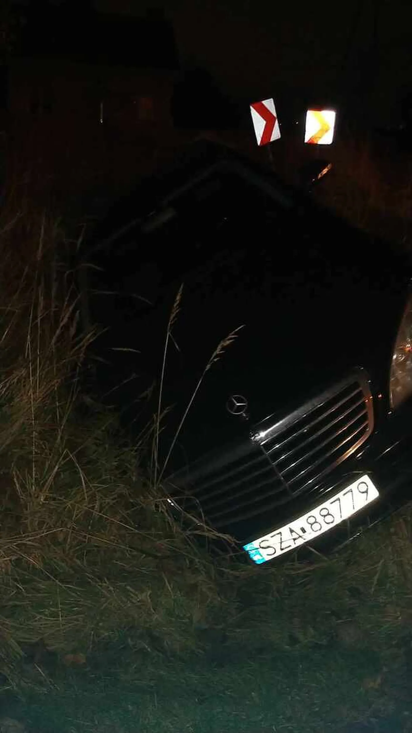 Koleszka czyści rowy