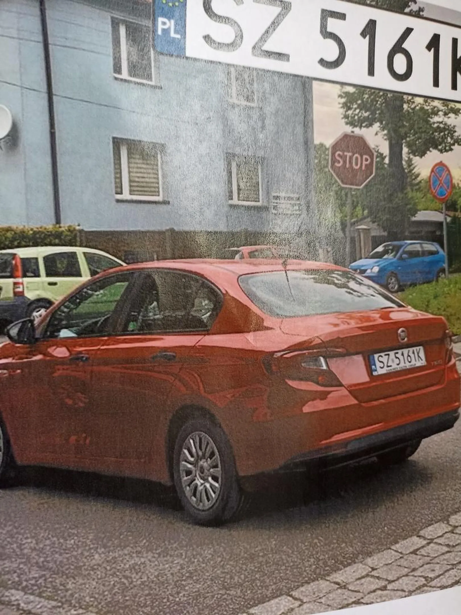 Kutas krzywy nie potrafi parkować