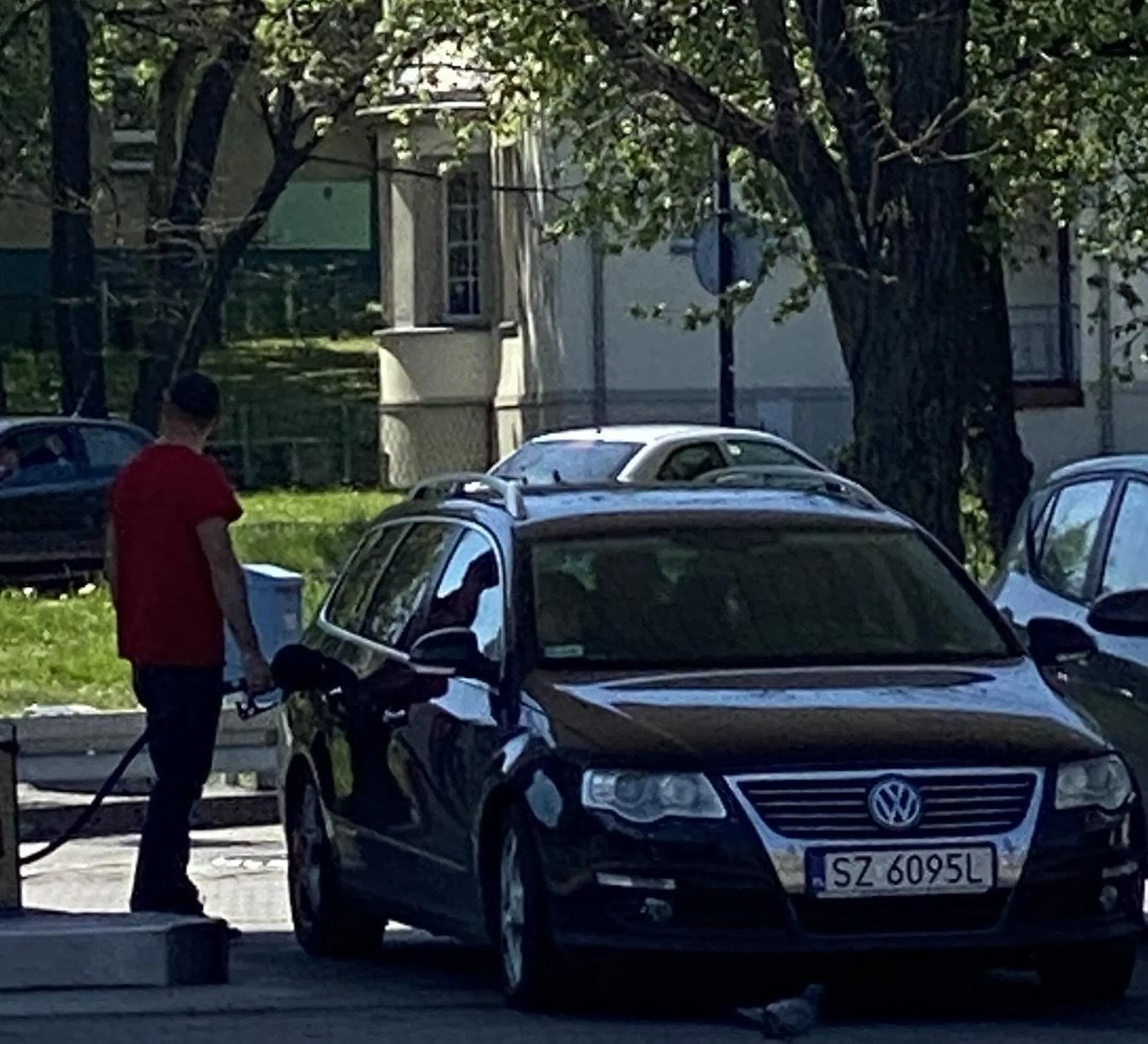 Burak przejeżdżający przez przejścia dla pieszych, podczas gdy znajdują się na nich ludzie.