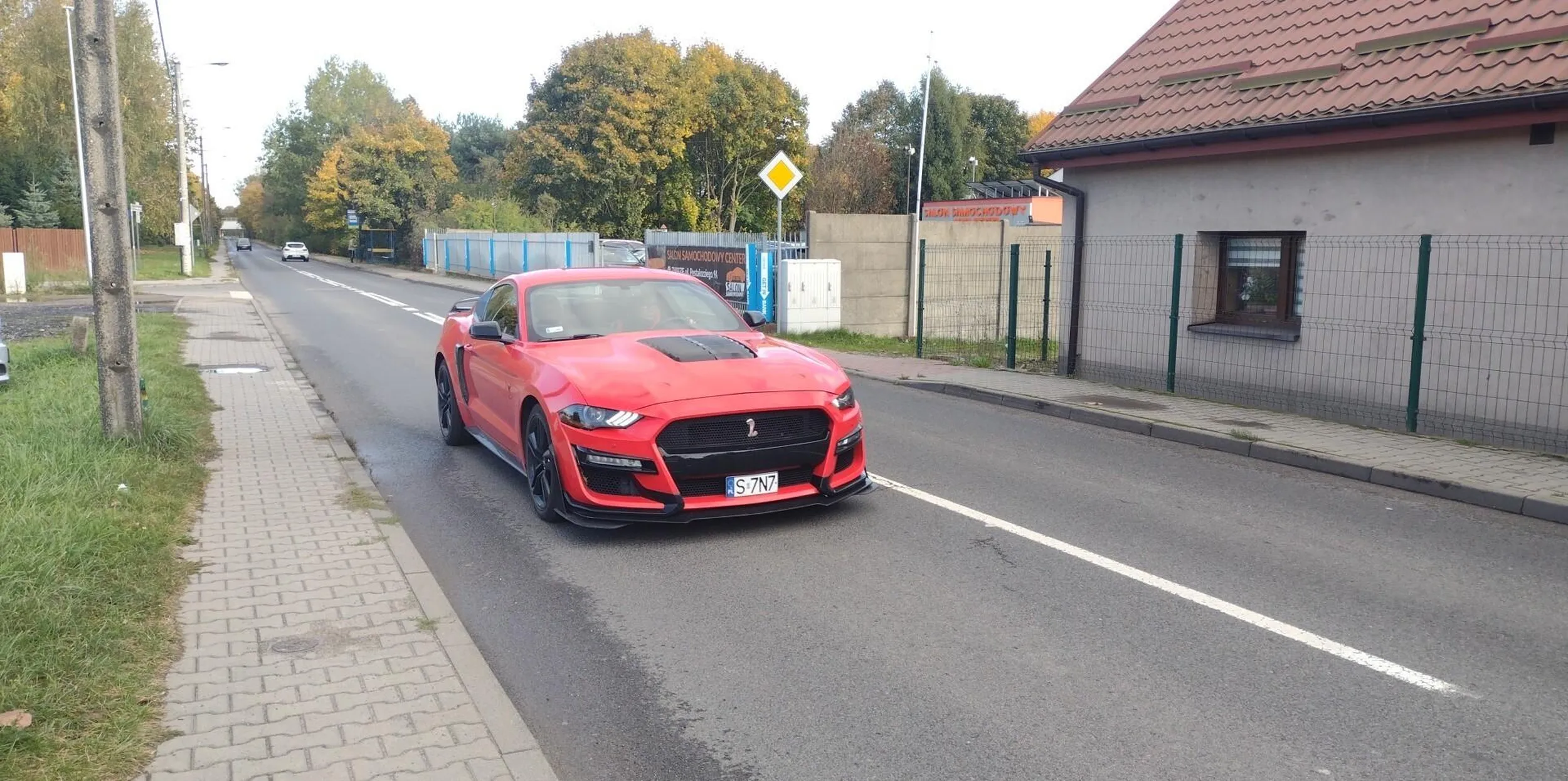 Dziękuję za zwolnienie i mrukniecie