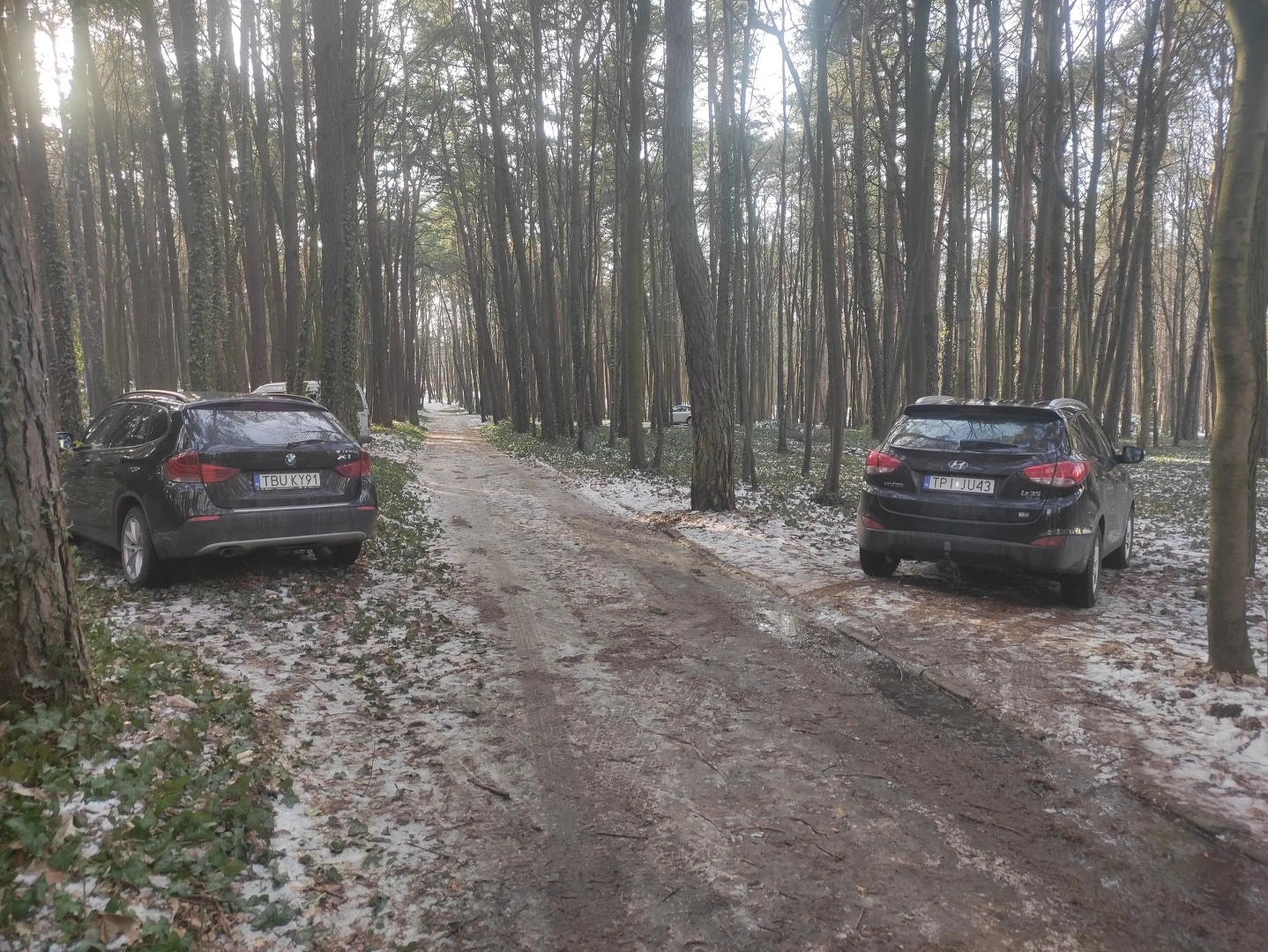 Na najbliższym parkingu nie było miejsca, a mały spacerek z innego najwyraźniej okazał się być ujmą na honorze dla bohatera powyższego zdjęcia, więc postanowił wjechać na leśną alejkę i rozjechać trochę zieleni... Wiocha nie tylko na tablicy, ale przede wszystkim w ciasnej główce.