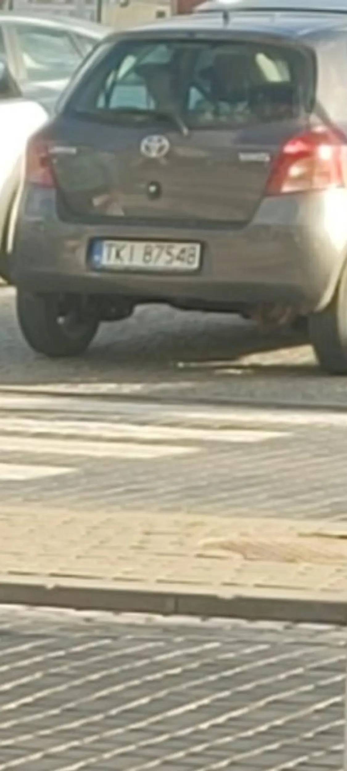 jeleń zaparkował nielegalnie na wejściu na przejście