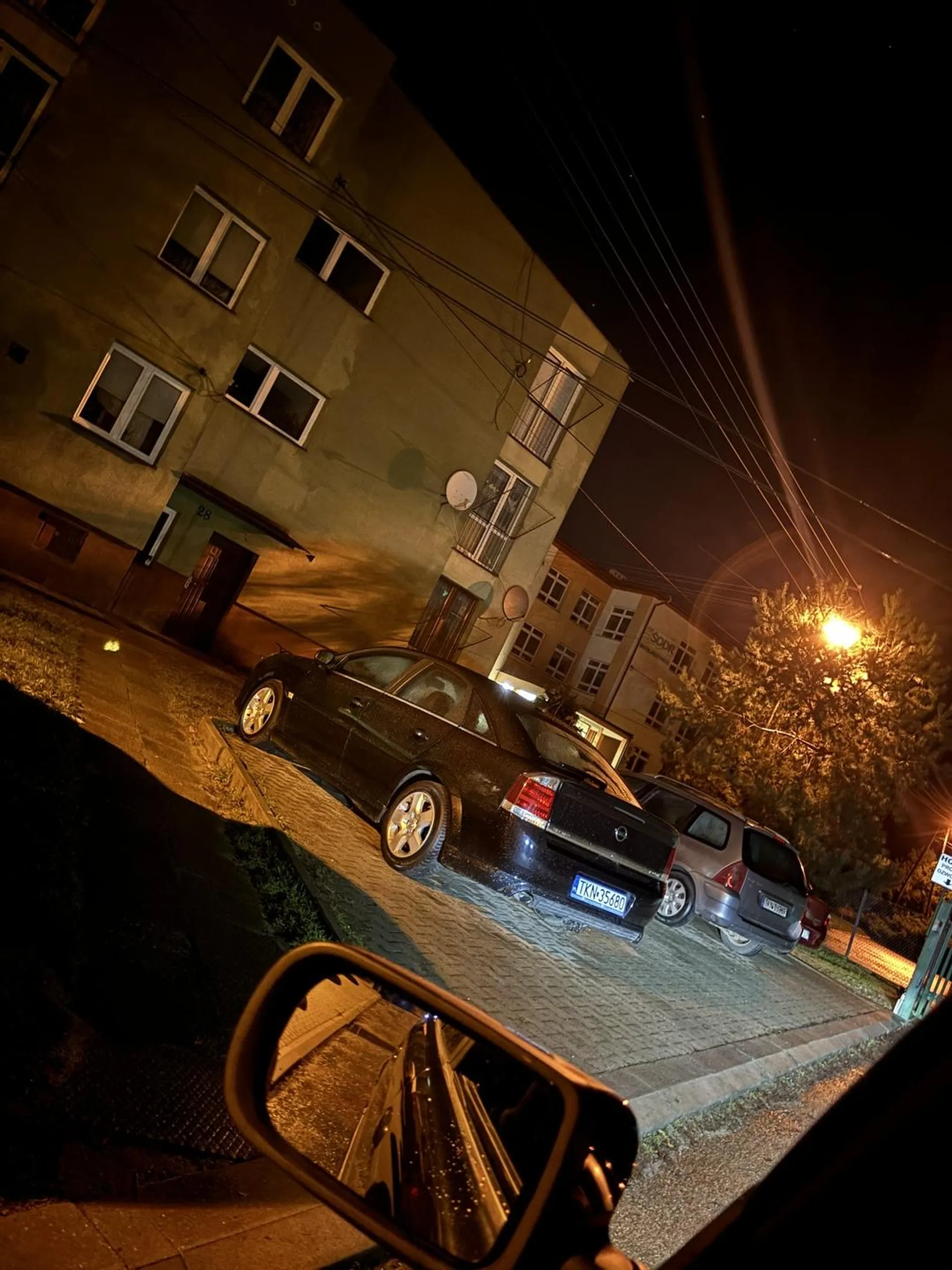 Brak pojęcia do jazdy oraz parkowania.Na parkingu skośnym parkuje na wprost