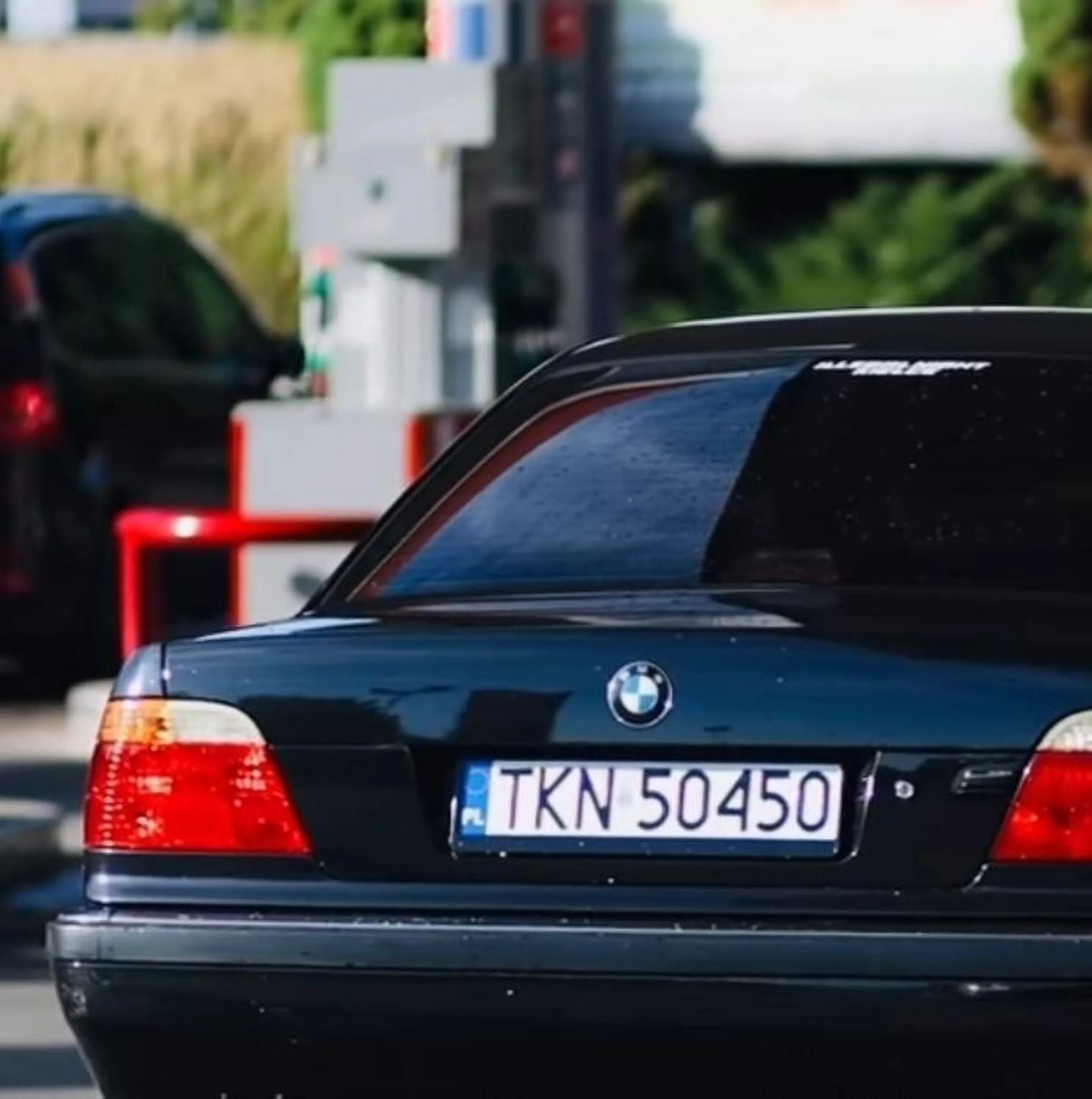 Nastebny burok w szrocie bez kultury