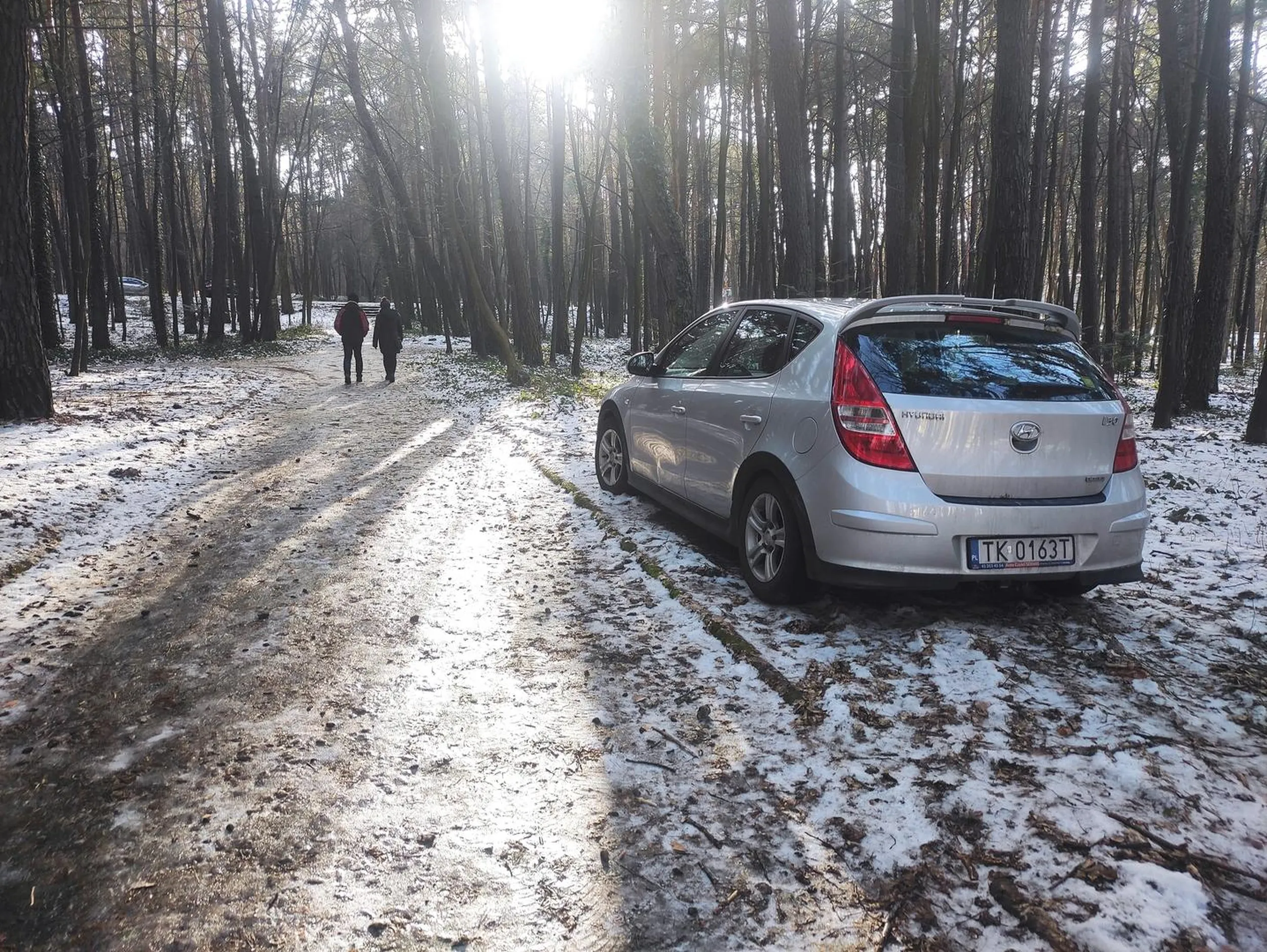 Na najbliższym parkingu nie było miejsca, a mały spacerek z innego najwyraźniej okazał się być ujmą na honorze dla bohatera powyższego zdjęcia, więc postanowił wjechać na leśną alejkę i rozjechać trochę zieleni... Mentalne wieśniactwo.