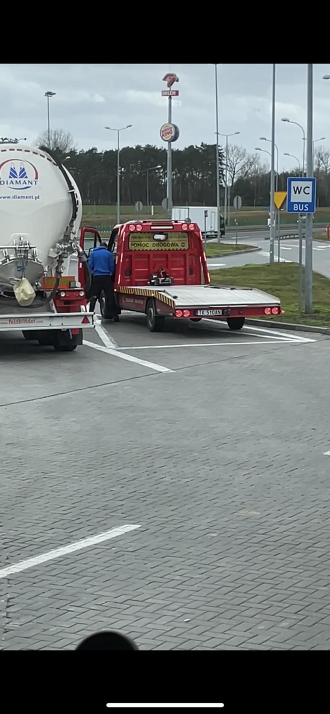 Świnia sika pod siebie na pustym parkingu a obok ma toaletę czy nawet trawkę.