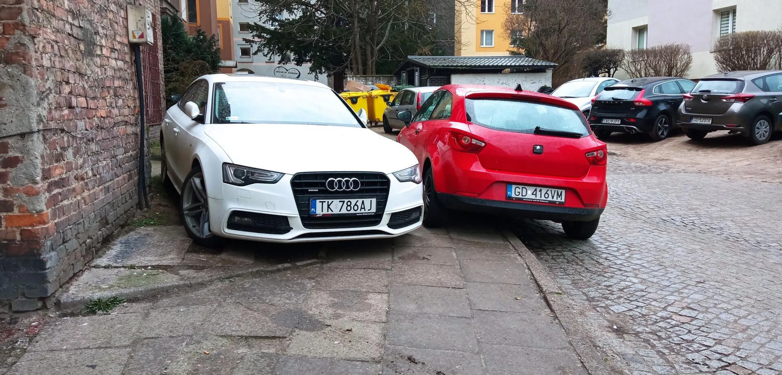 Władczyni gdańskich chodników