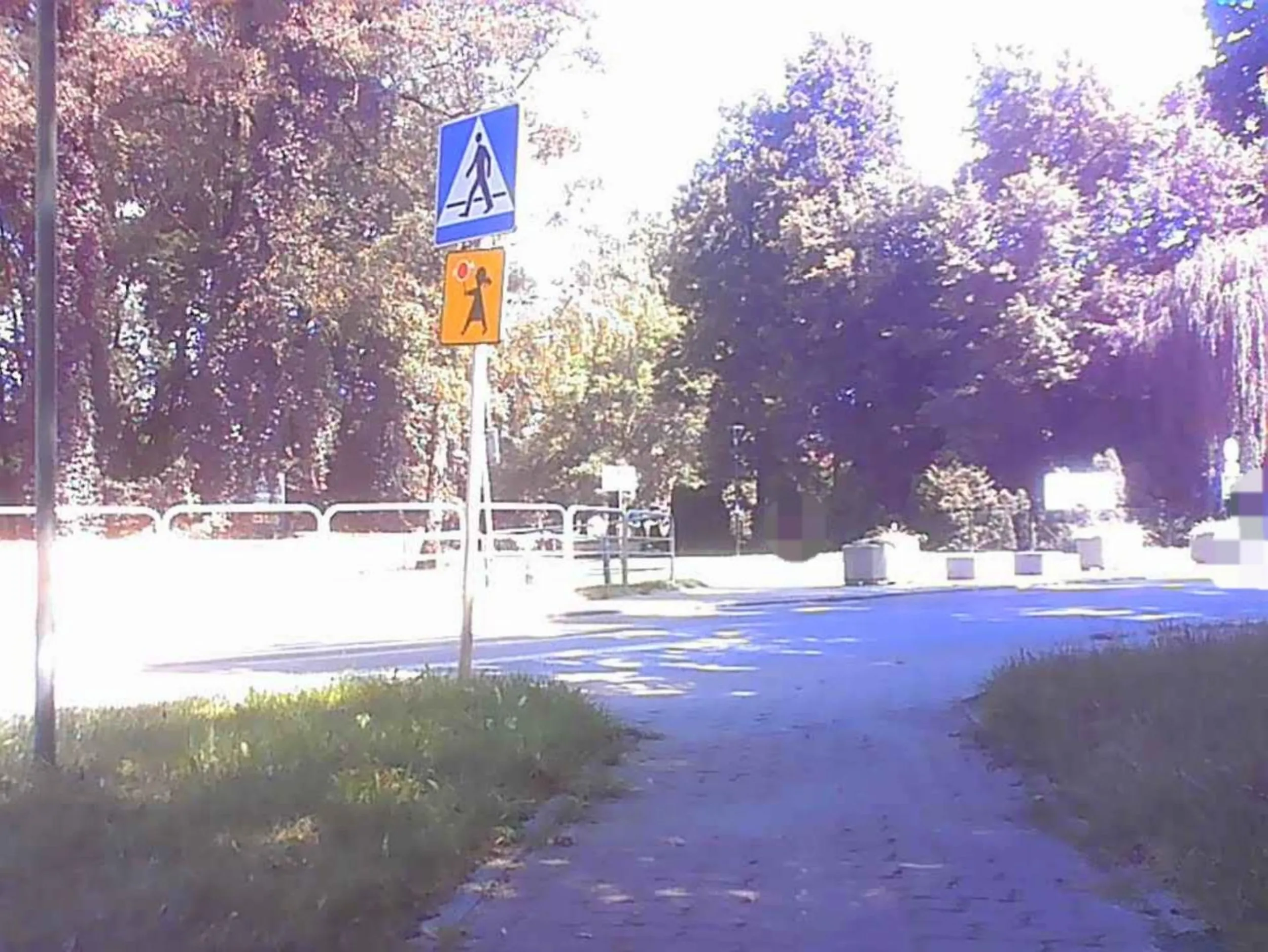 Kierujący Citroënem nie ustąpił pierwszeństwa pieszemu.