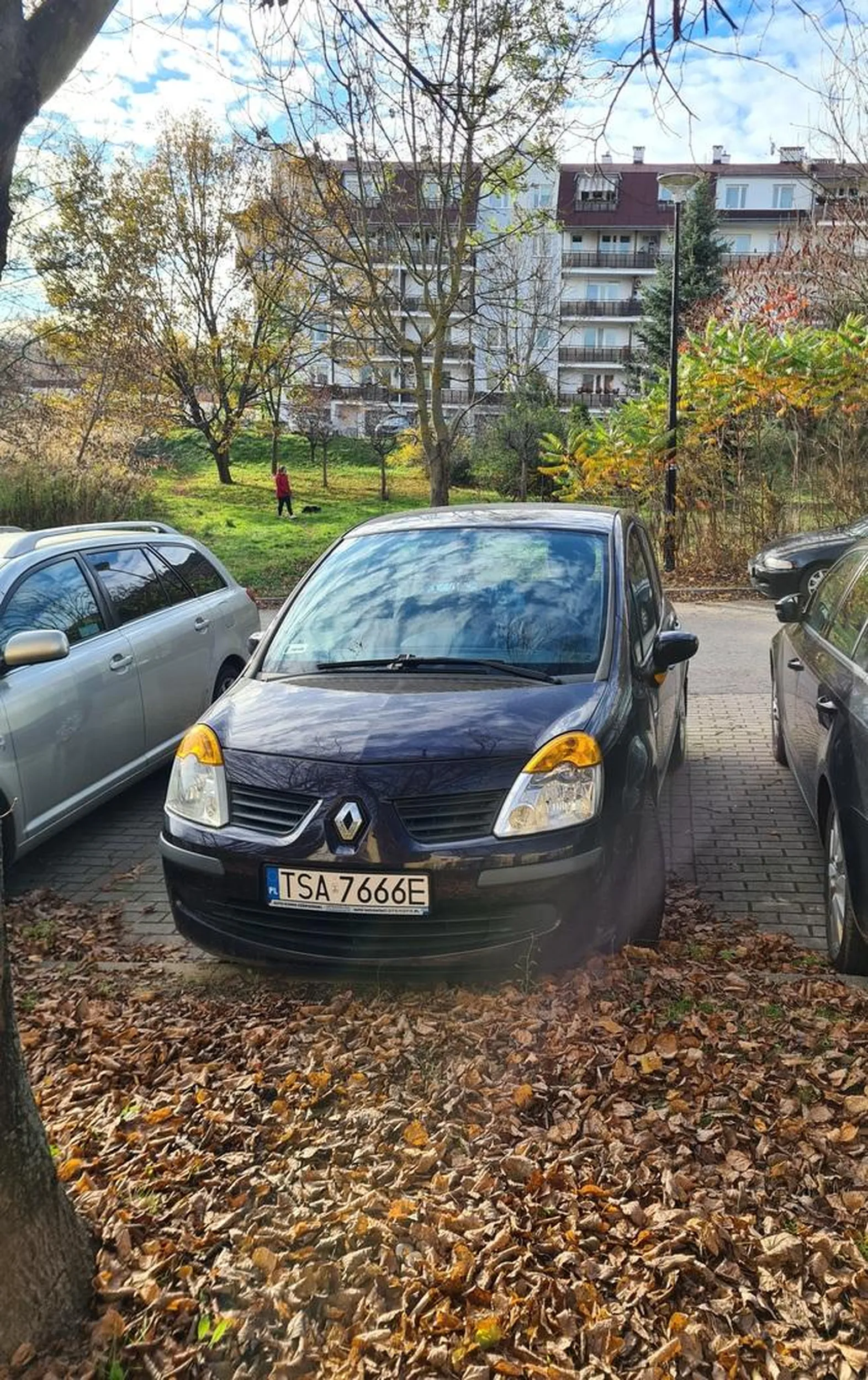 Naucz się parkować pomiędzy liniami