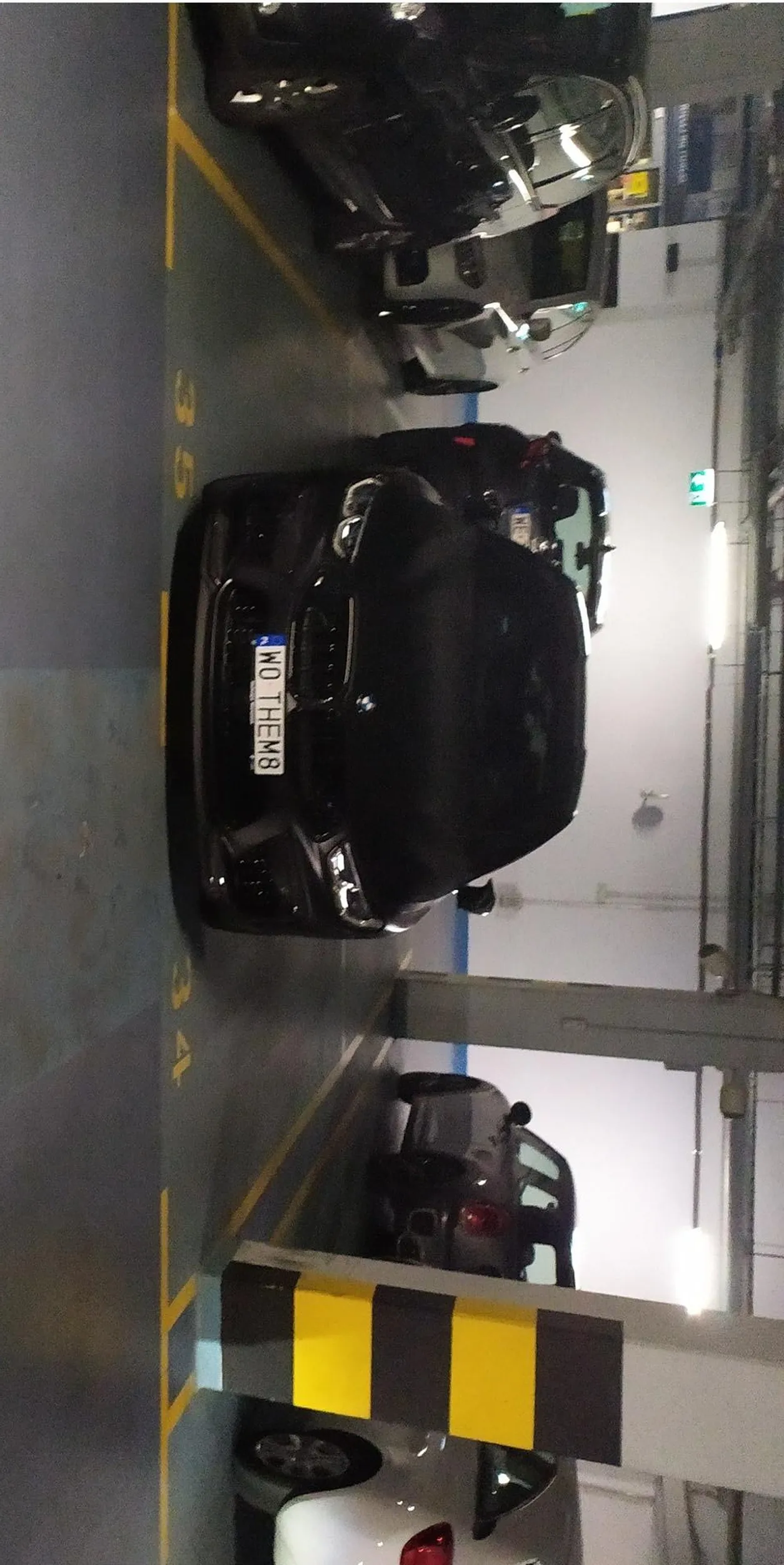 Mistrzunio parkowania