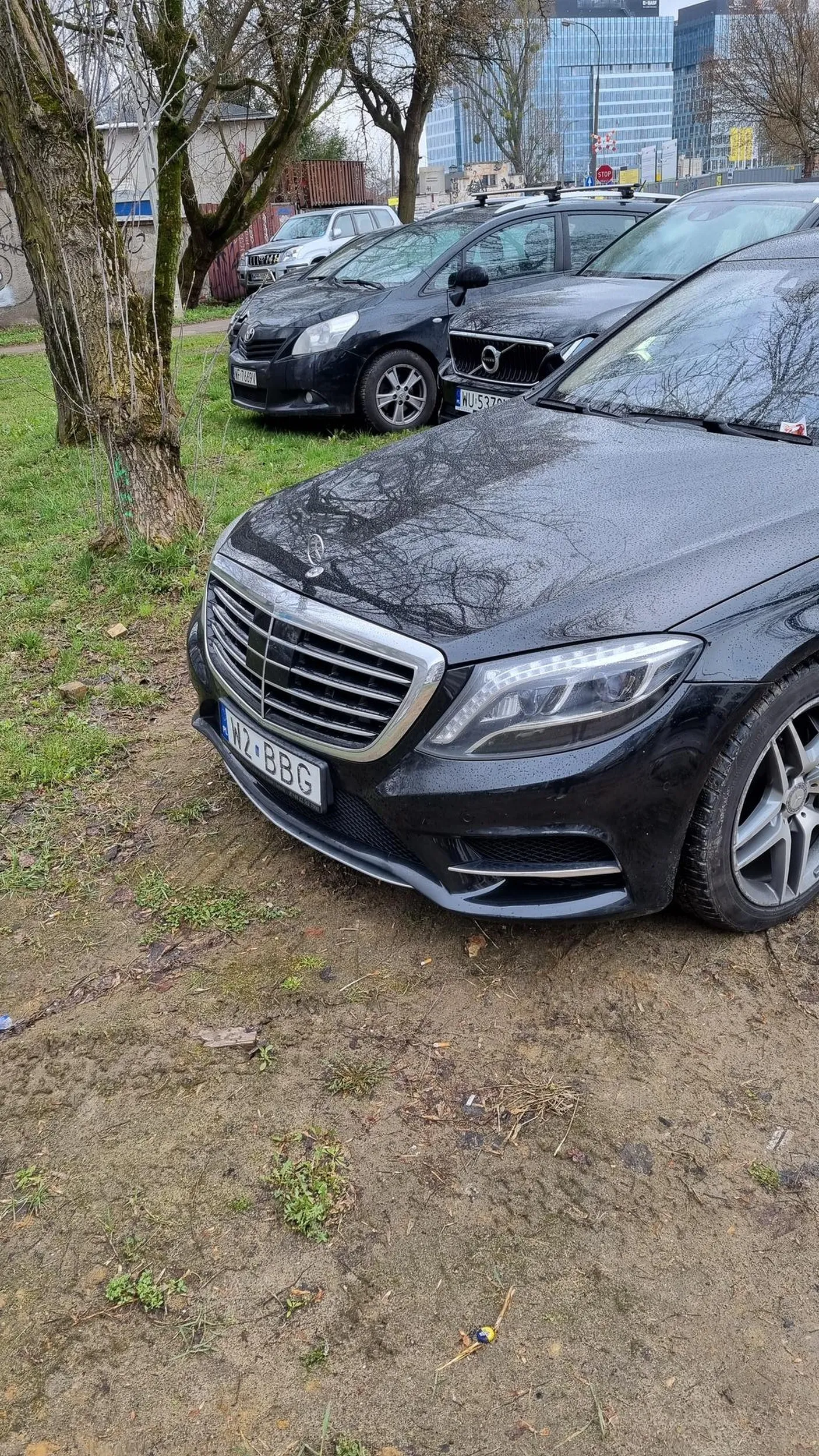 Zastawia chodnik i rozjeżdża trawnik. Jak tak można?