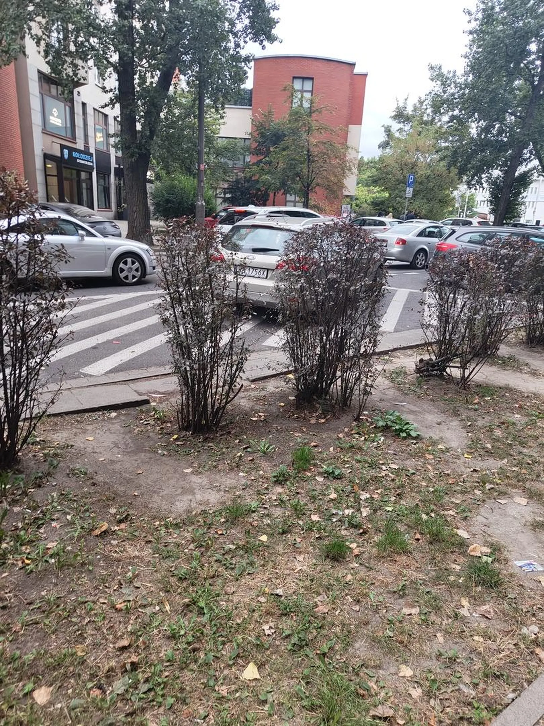 Markowanie na niedozwolonym dla tego kierowcy jest OK.