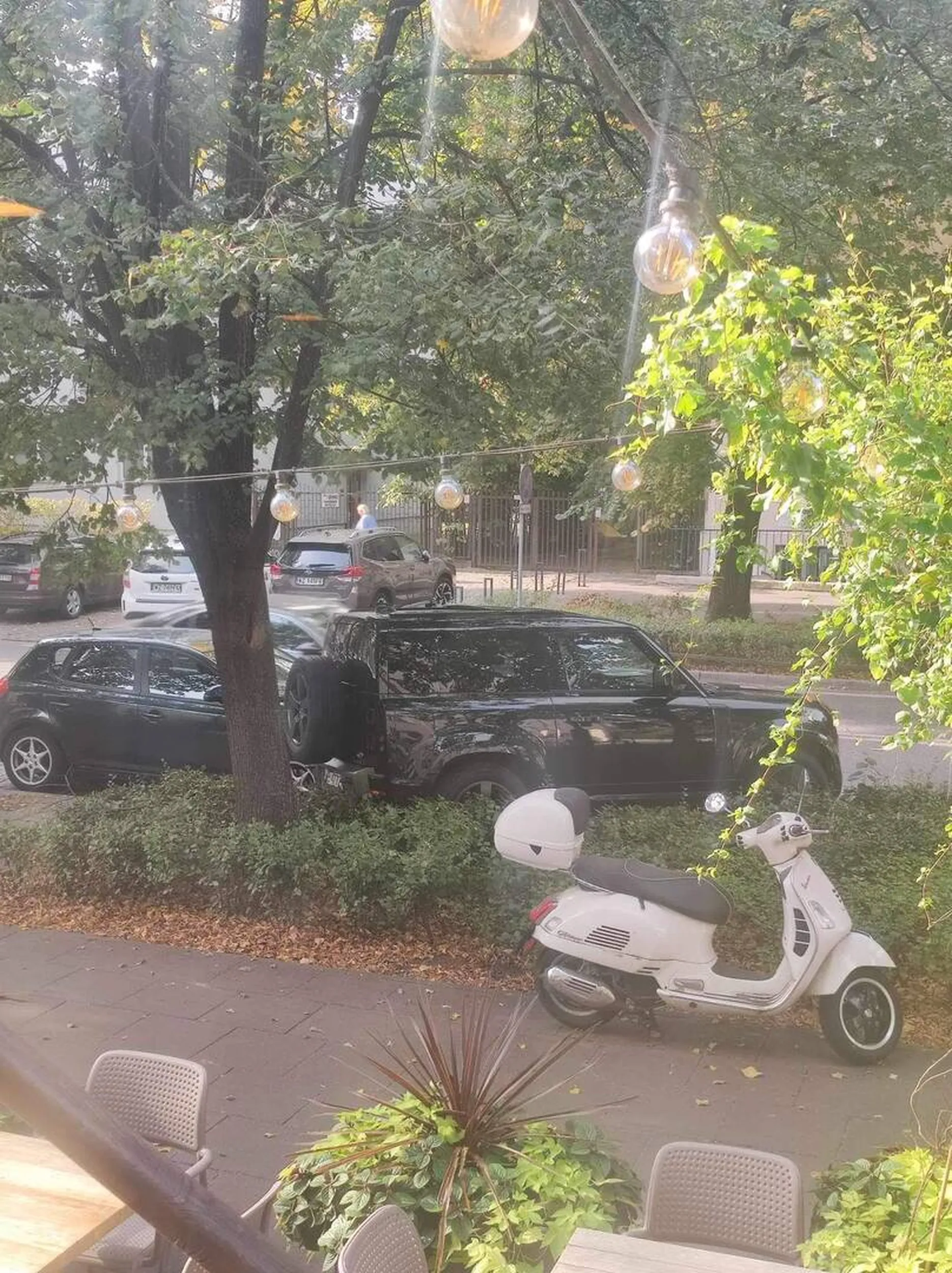 Mamy nowego mistrza parkowania, brawo amebo umysłowa a pełnej niepełnosprawności intelektualnej