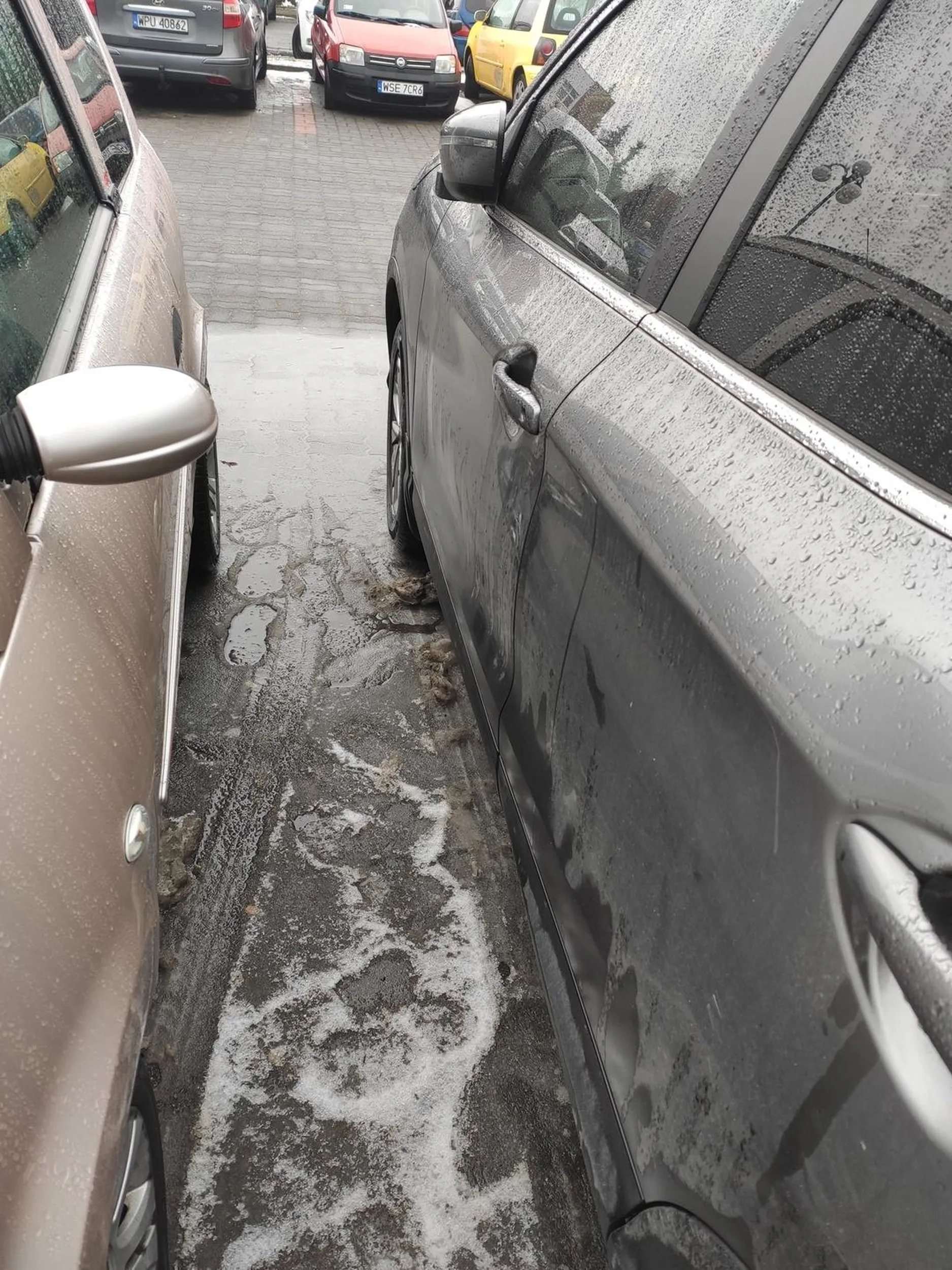 Nie potrafi parkować