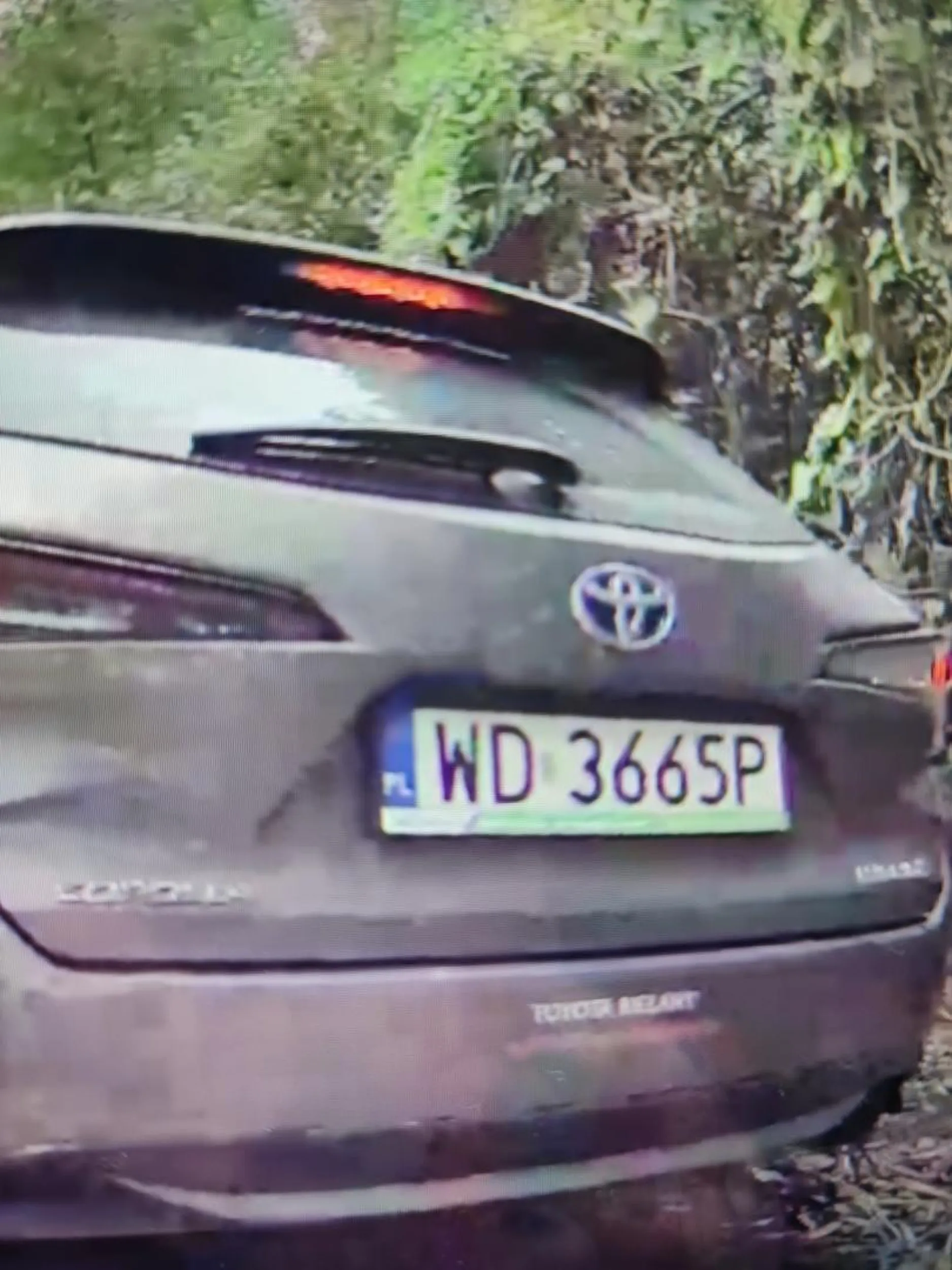 Kierowca jeździ pod prąd. Ignoruje znaki z pełną premedytacją.