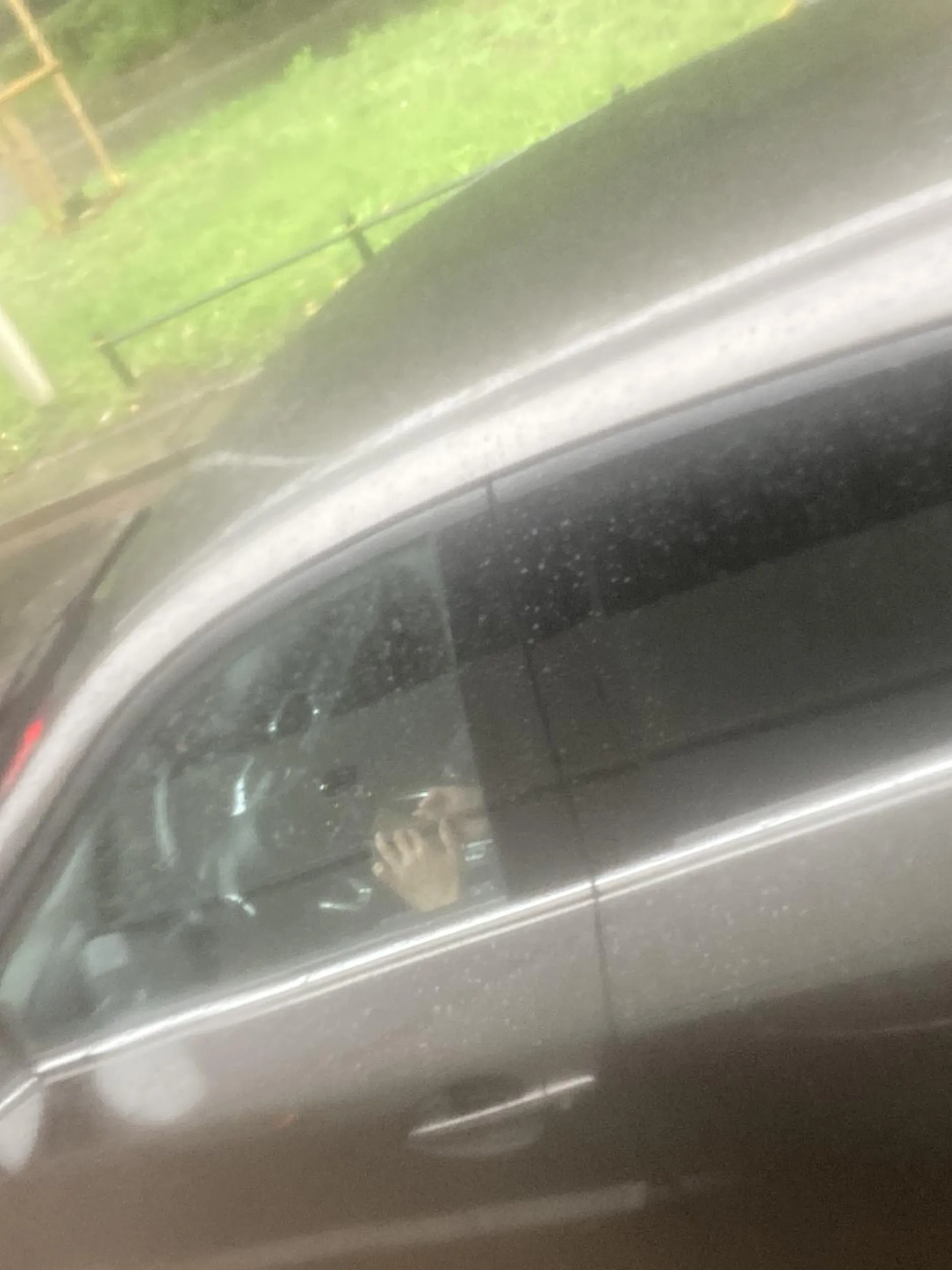 Kierowca używa telefonu podczas jazdy