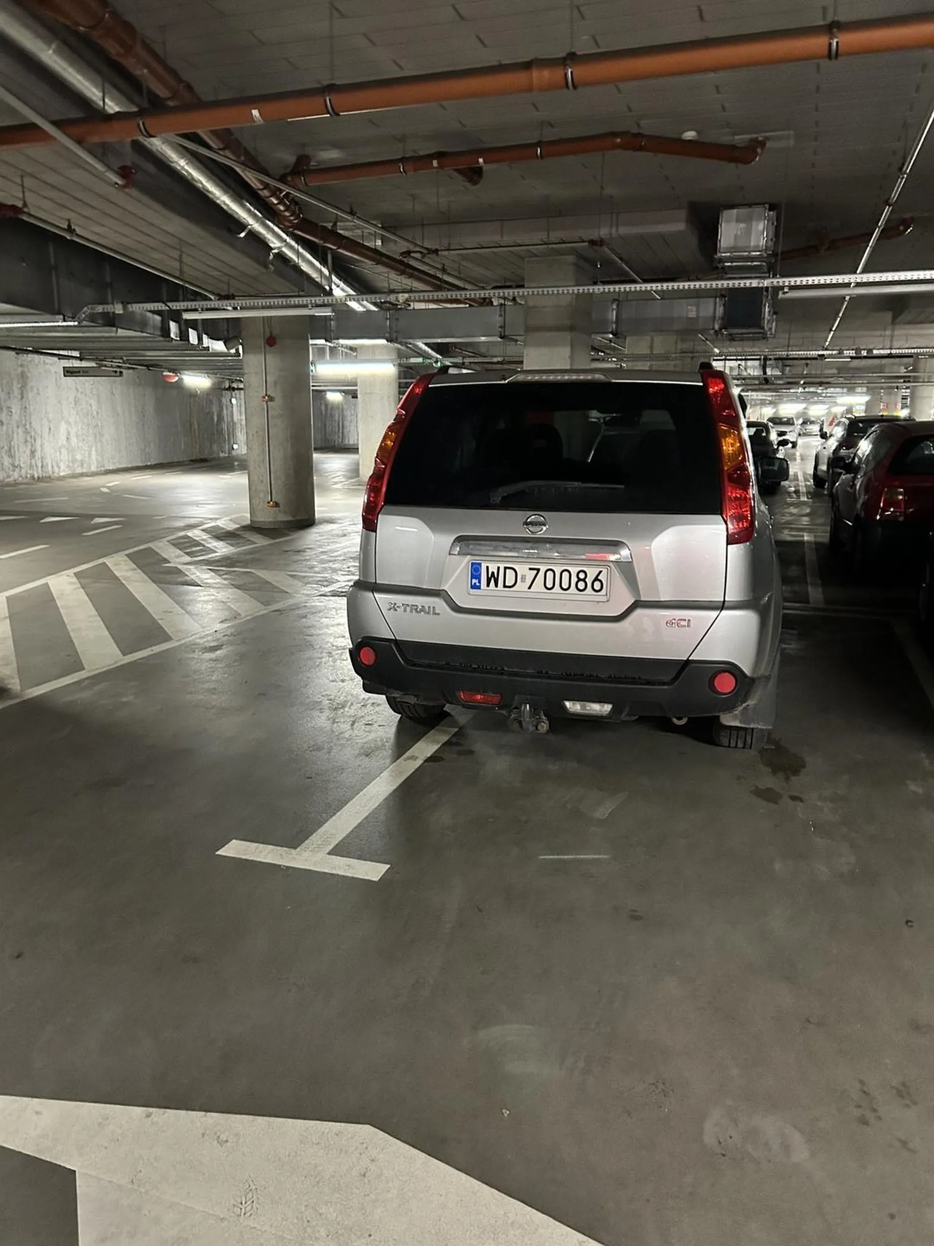 Kolejny gołąb który nie potrafi parkować.