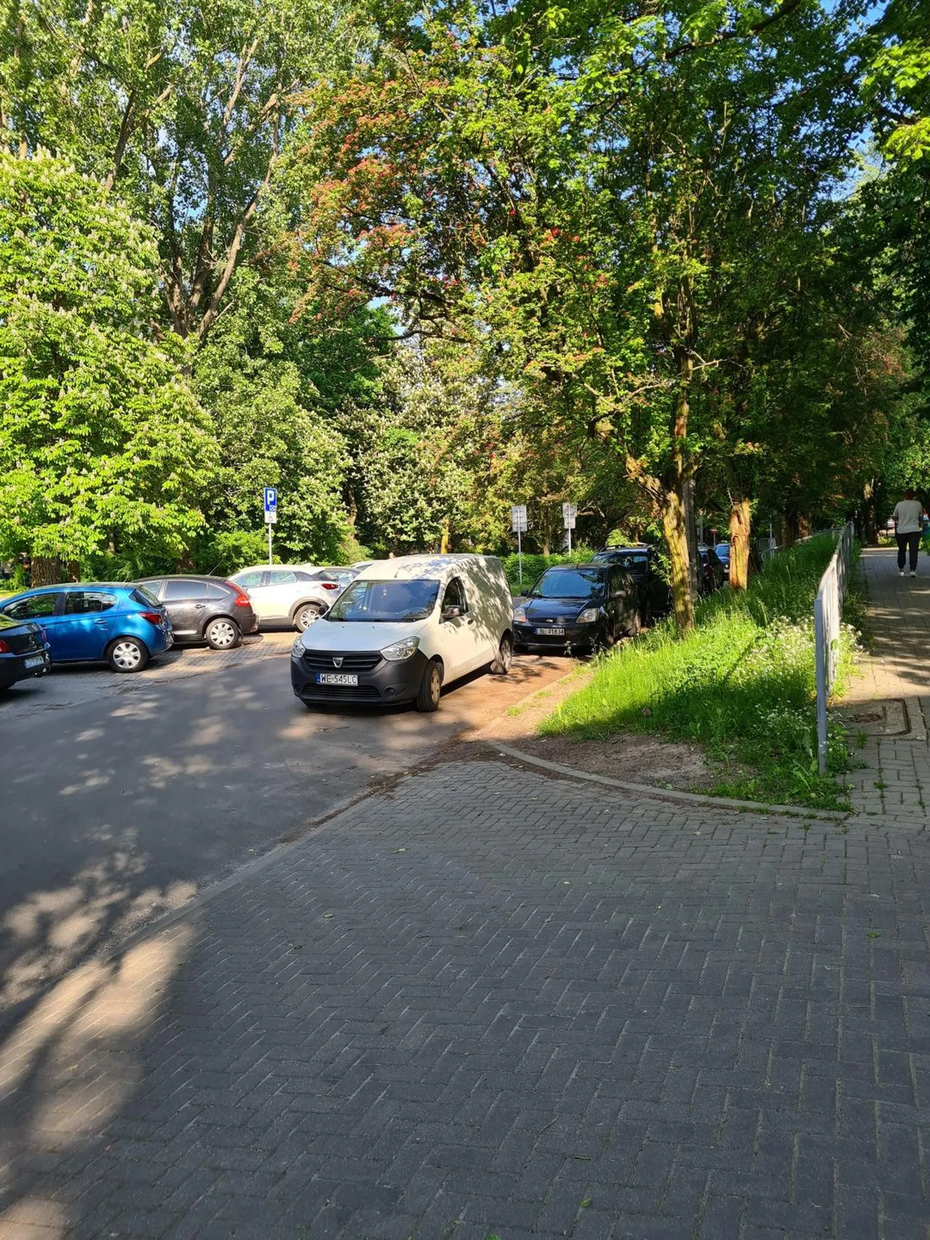 Niezwykłe umiejętności parkowania