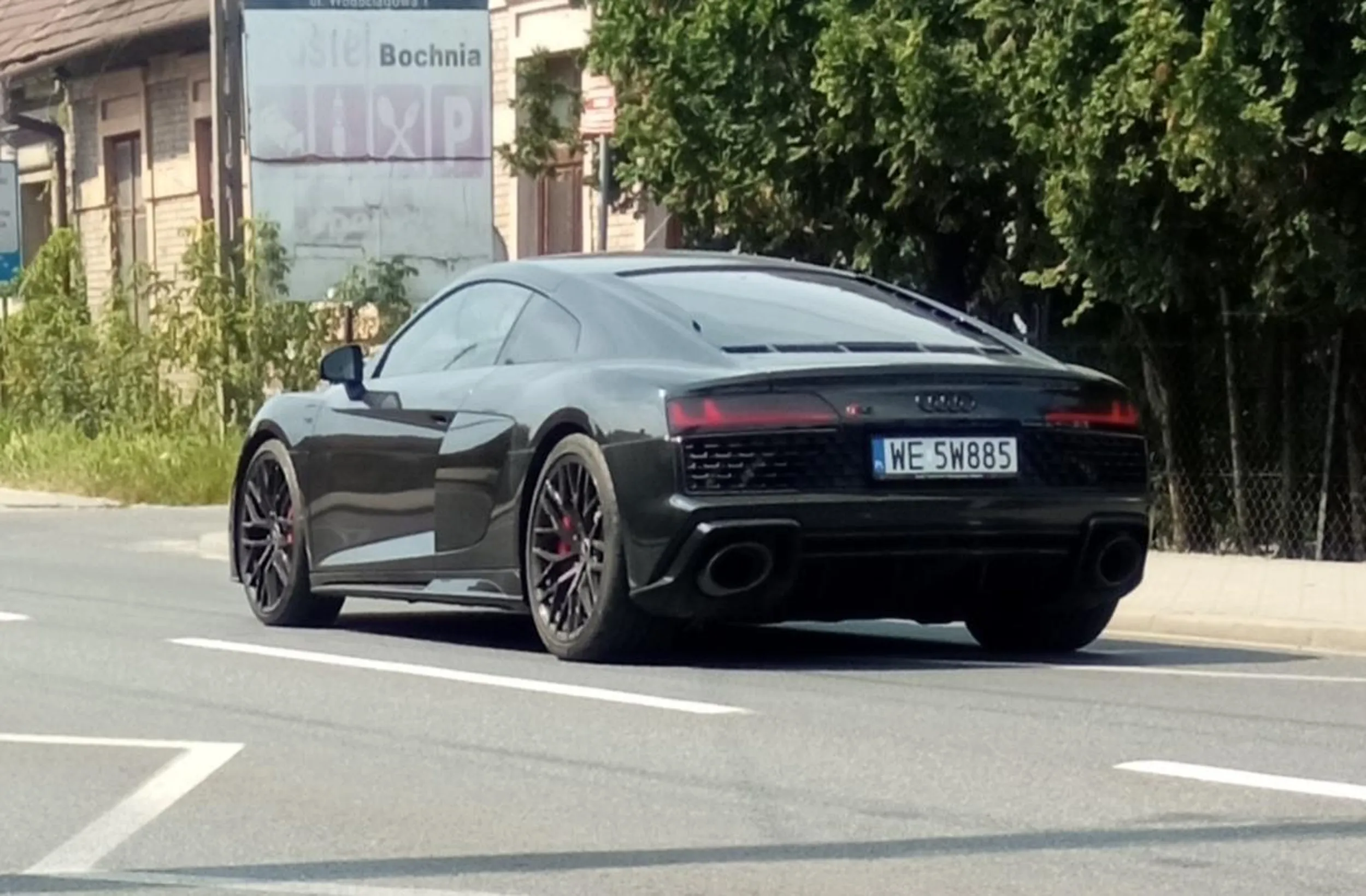 Piękna bestia widziana na drogach miasta Bochnia ?