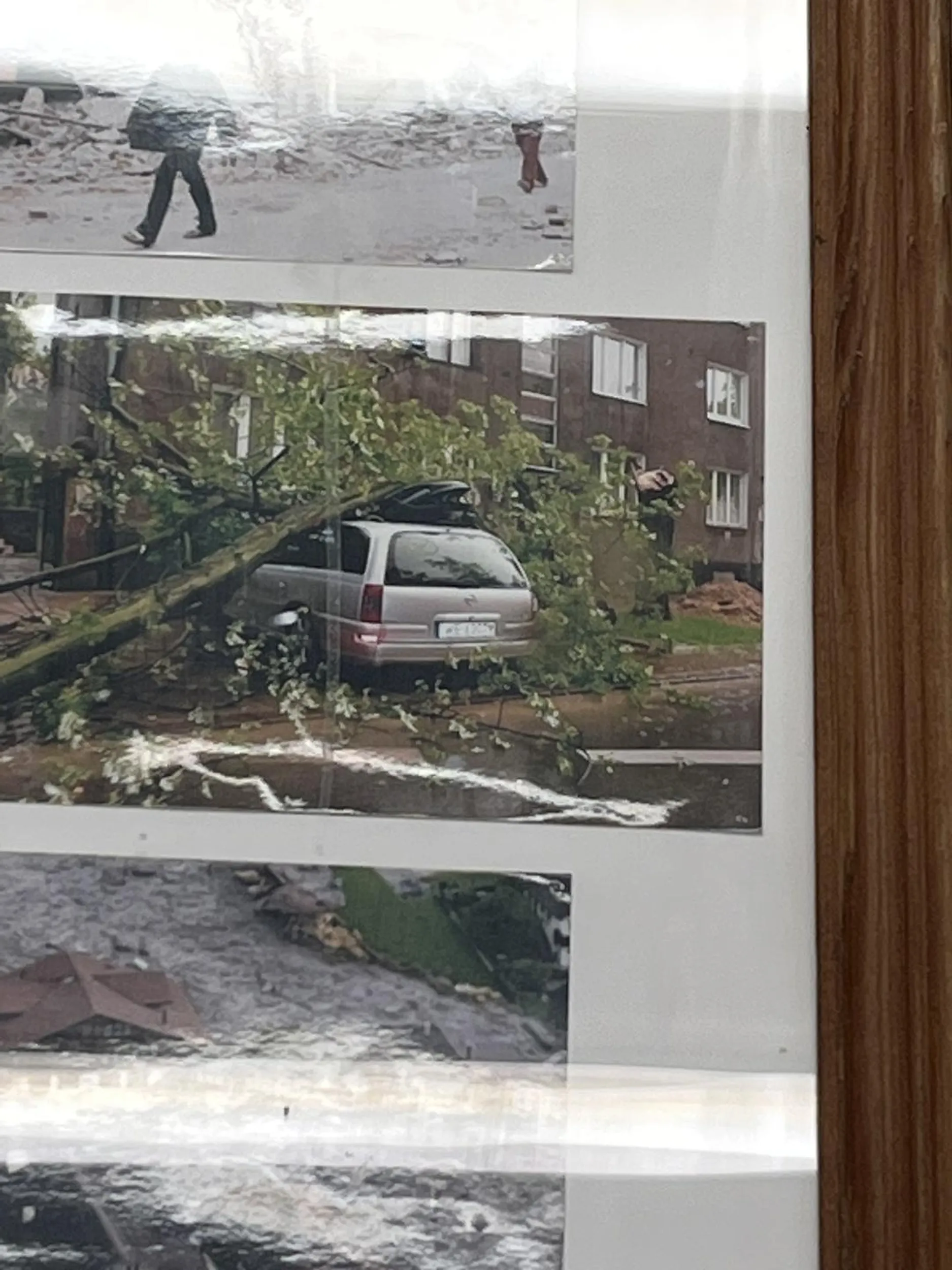 Ale zajebiscie parkujesz pod drzewem