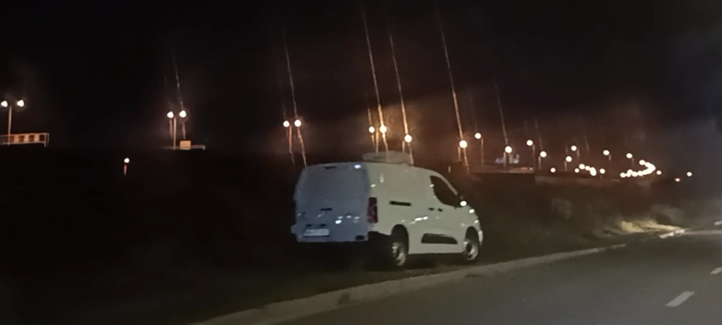 Kierowca zniszczył krzewy zasądzone przy ulicy i zaparkował na nich na trawie. Chamstwo straszne.