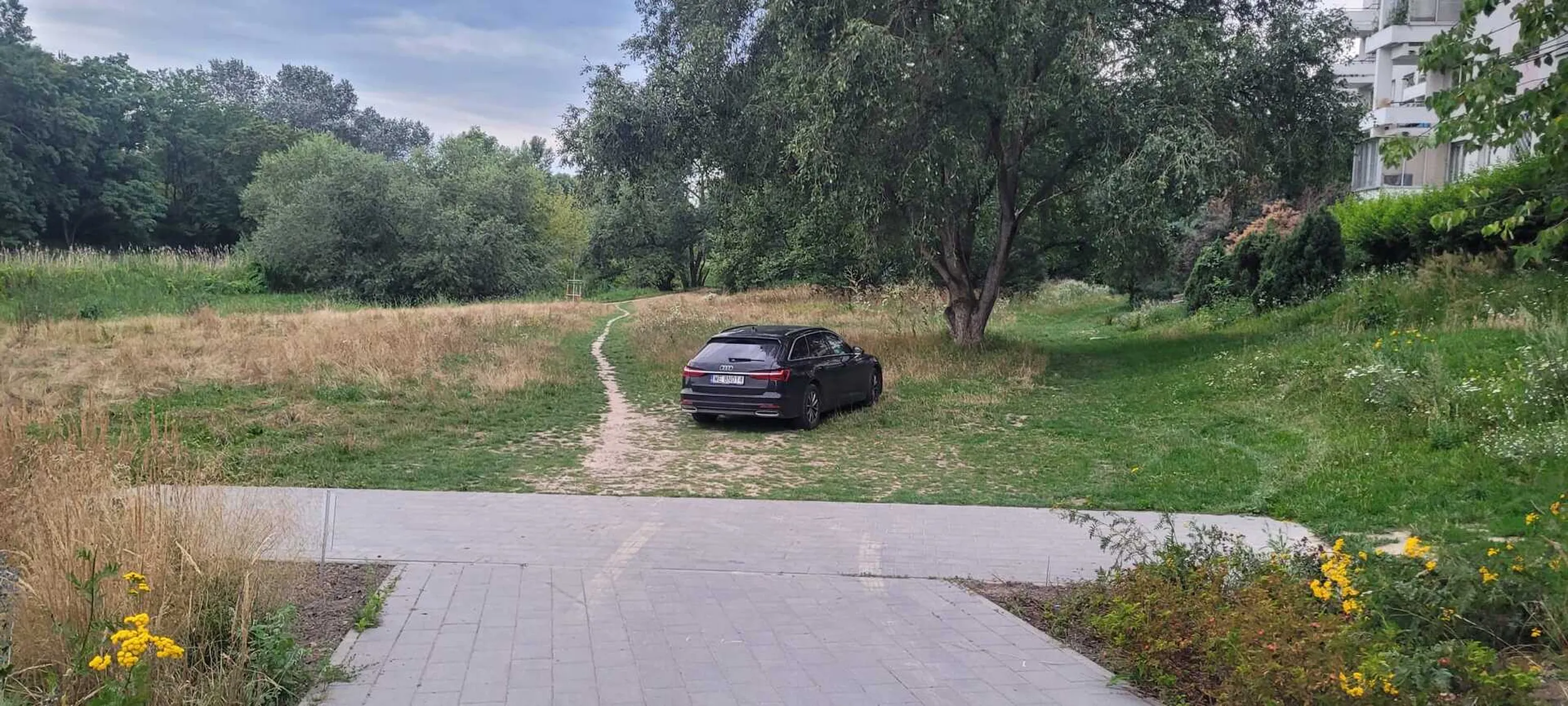 Kierowca ma taki problem z wycelowaniem w miejsce parkingowe, że parkuje na trawniku.
