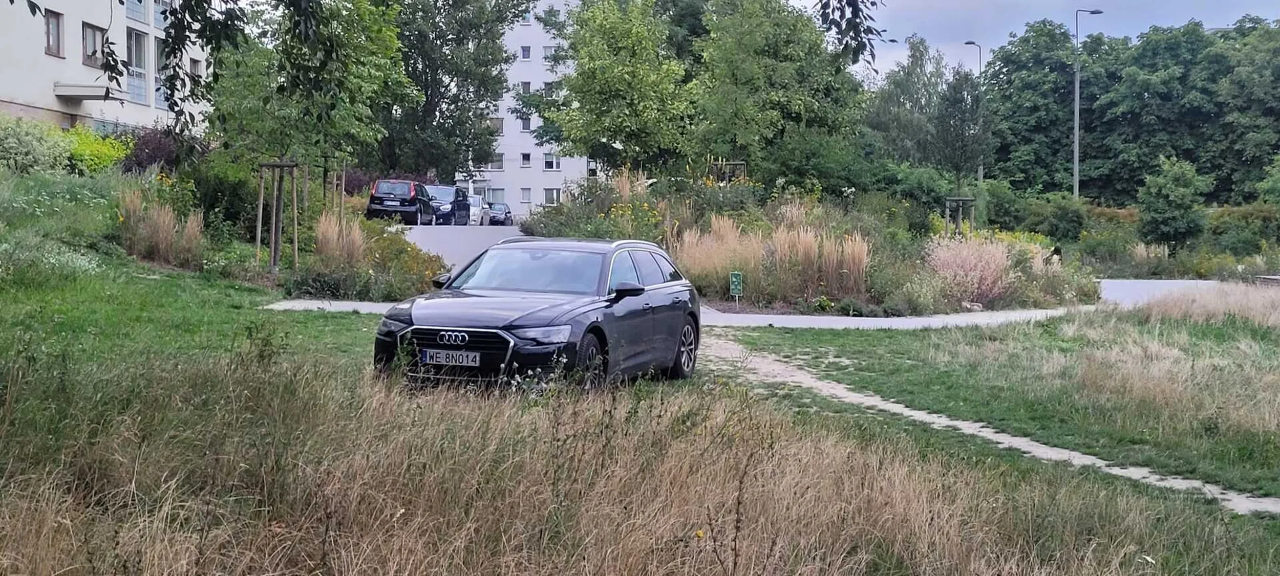 Kierowca ma taki problem z wycelowaniem w miejsce parkingowe, że parkuje na trawniku.