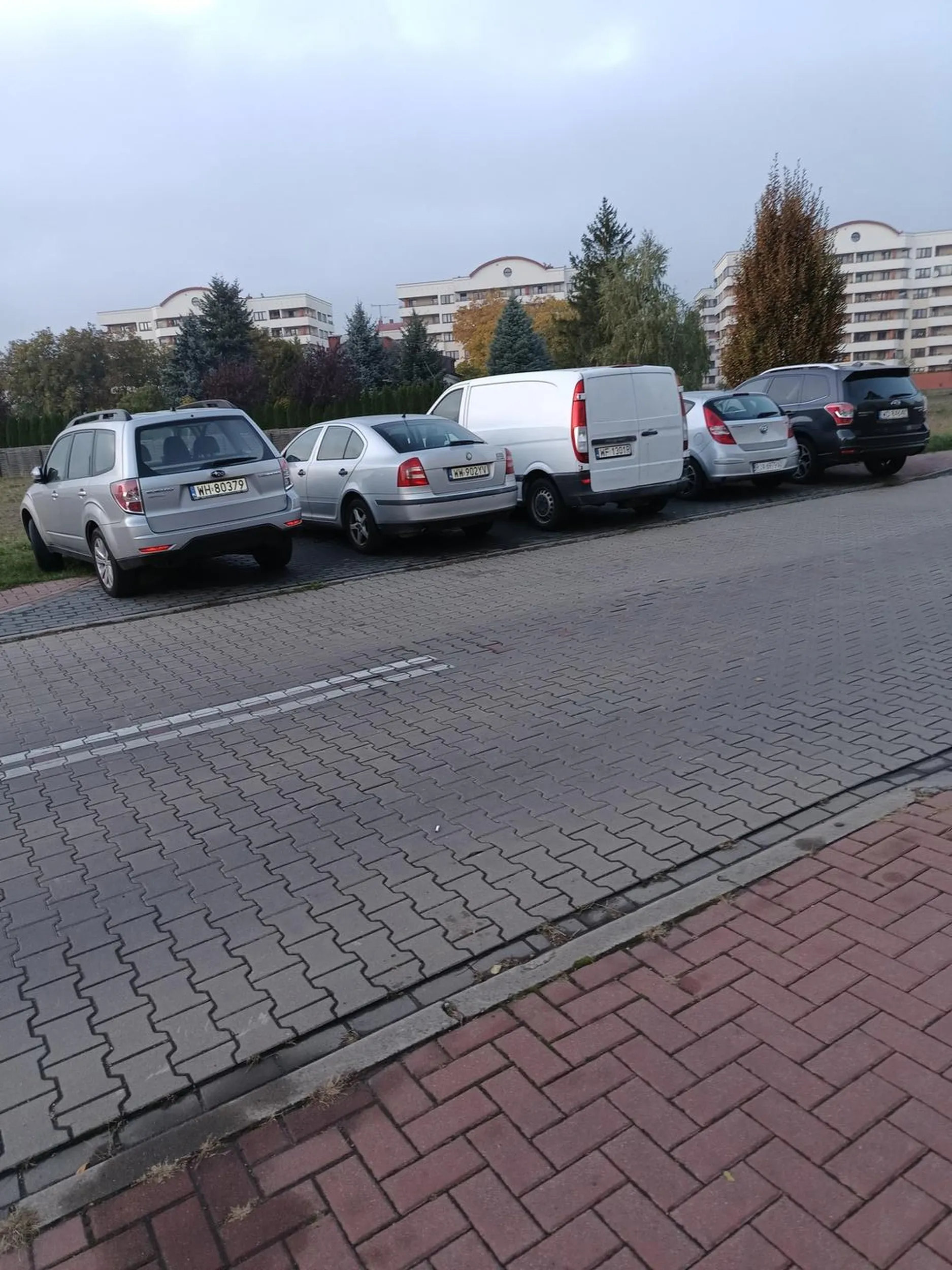 Parkowanie na trawniku i na chodniku przy ulicy po stronie z zakazem zatrzymywanie się i postoju. Mandat = 2 pkt.+200zł.