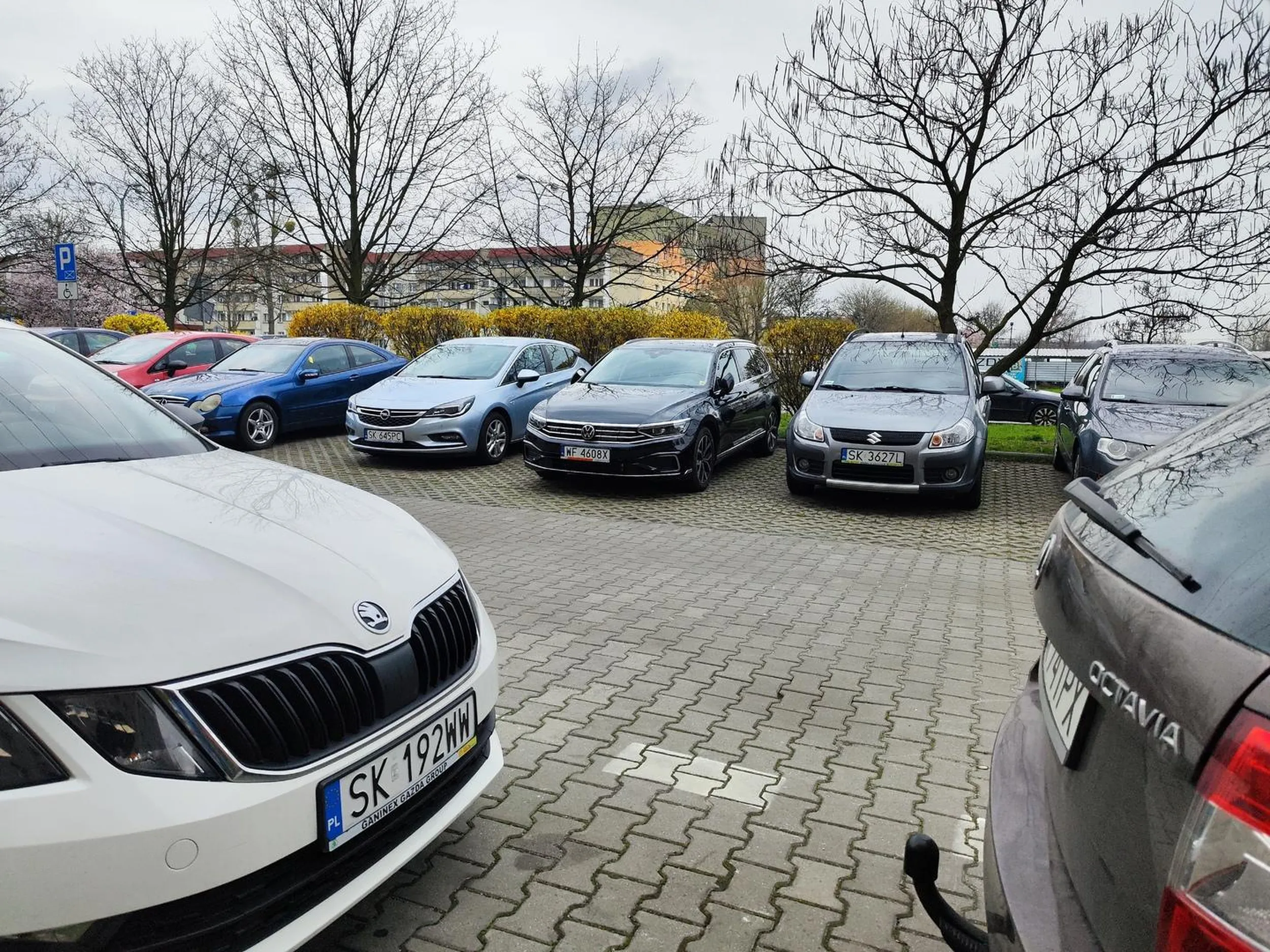 Polecam tego klienta. Fajnie piszczy jak zaciska się jego orzeszki. Słabo się starasz i za szybko dochodzisz. P. S. Zbadaj się bo raczej chwyciłeś syfa. Pozdrowienia dla rodziny. 13.04.2023 (16:30) Katowice Witosa.
