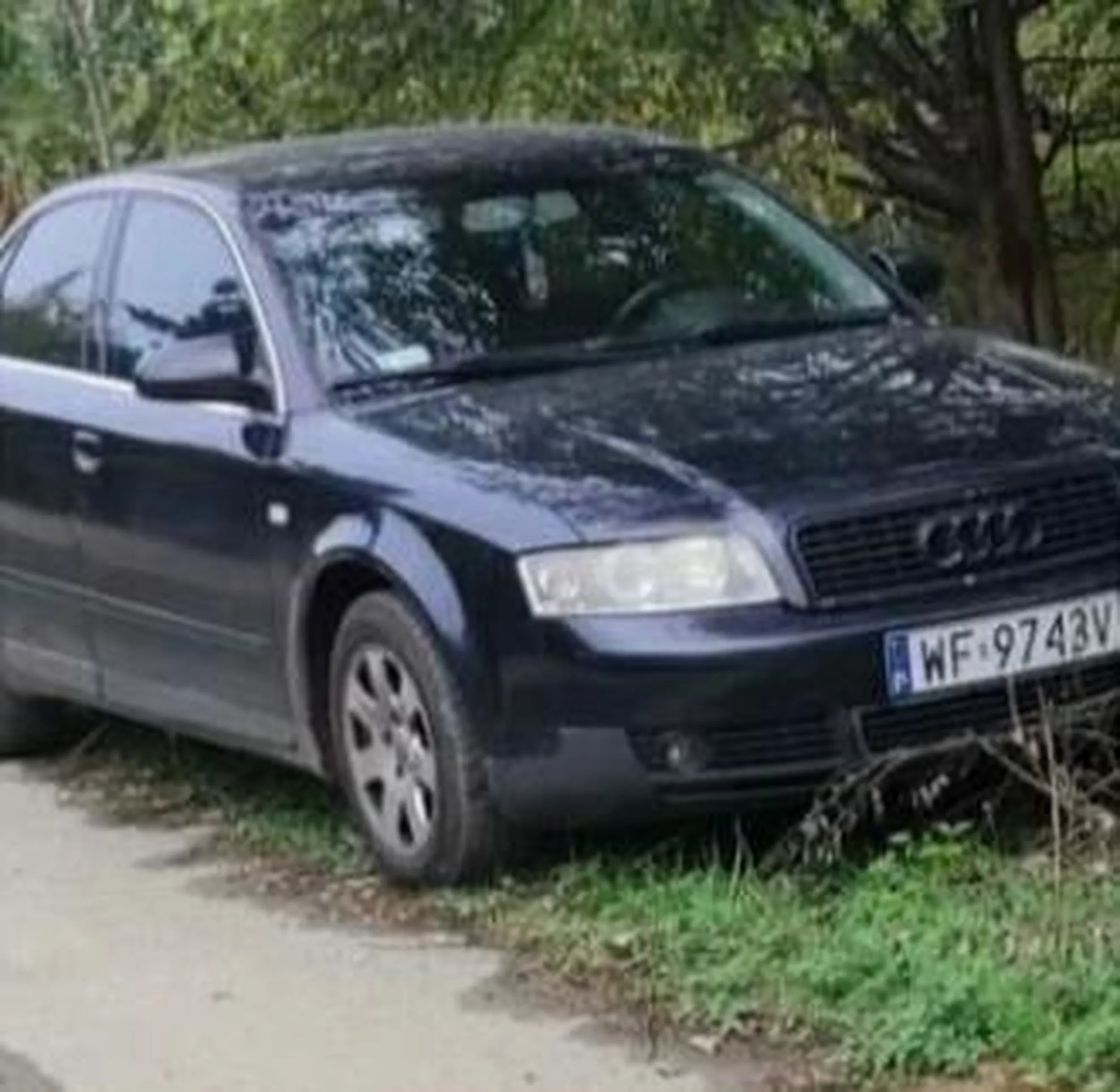 Złodzieje. Wchodzą na posesje i okradają ludziom domy. Wzywać policję jak tylko ich zobaczycie!!!