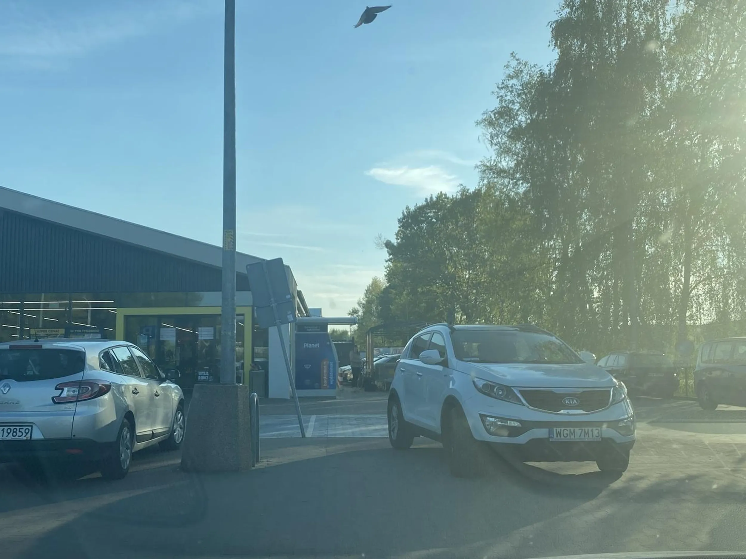 Biedronkowy miszcz parkowania na srodku