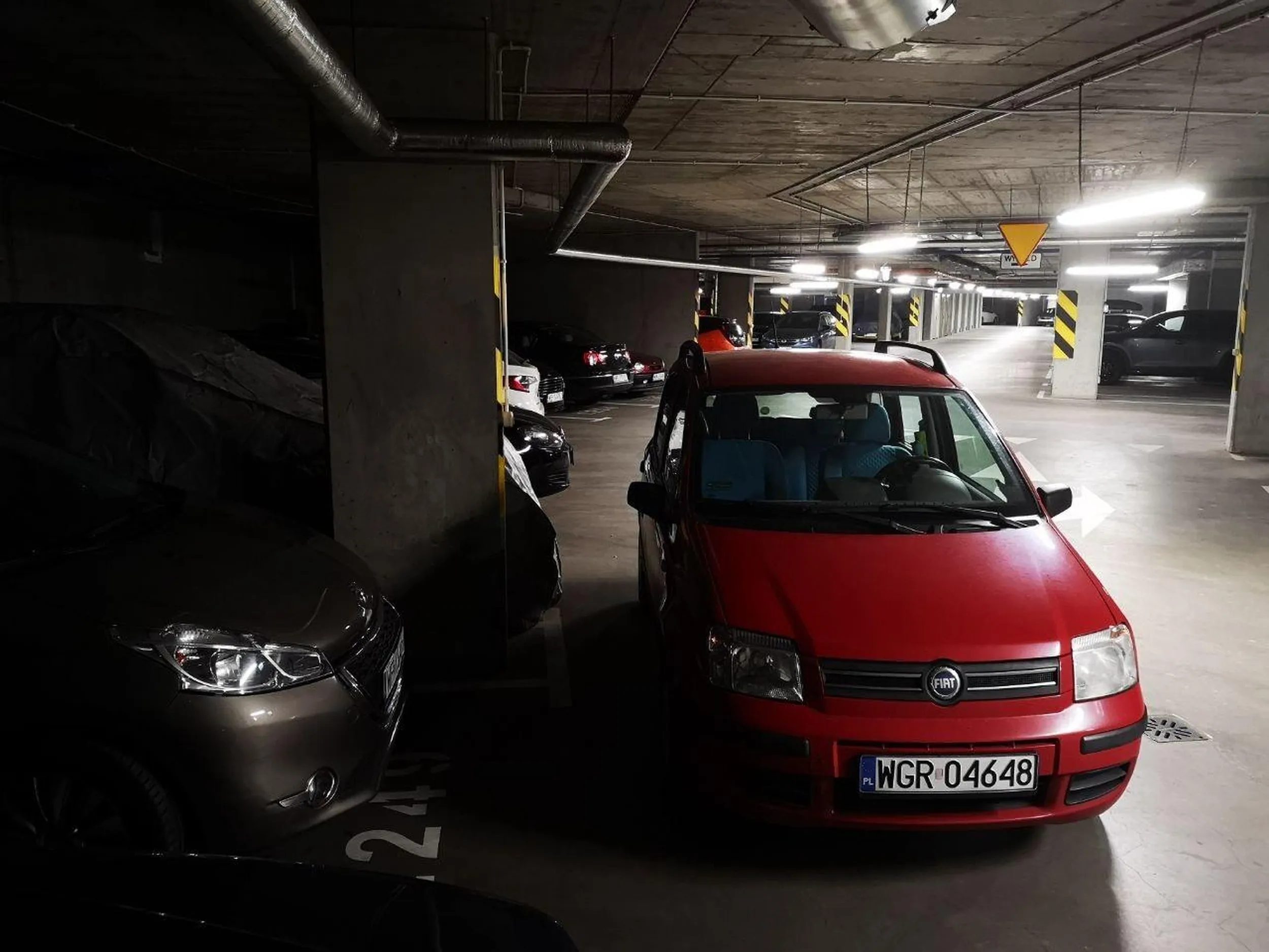 Mistrzyni parkowania.