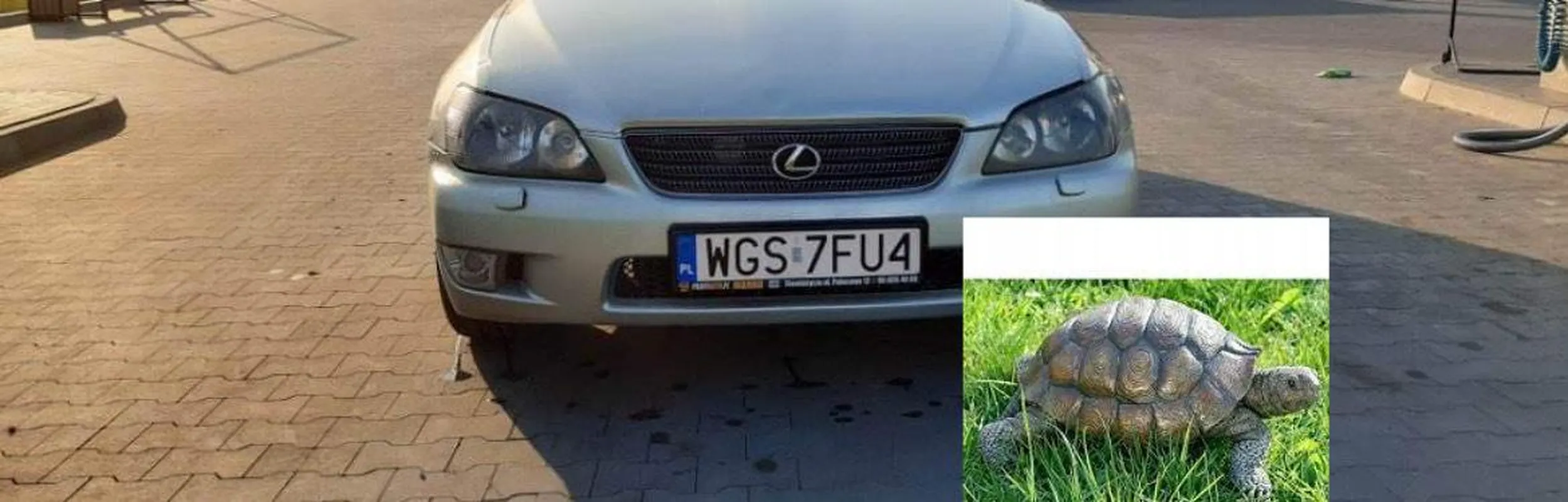 Nie polecam kierowcy, potrącił mi rzłuwia