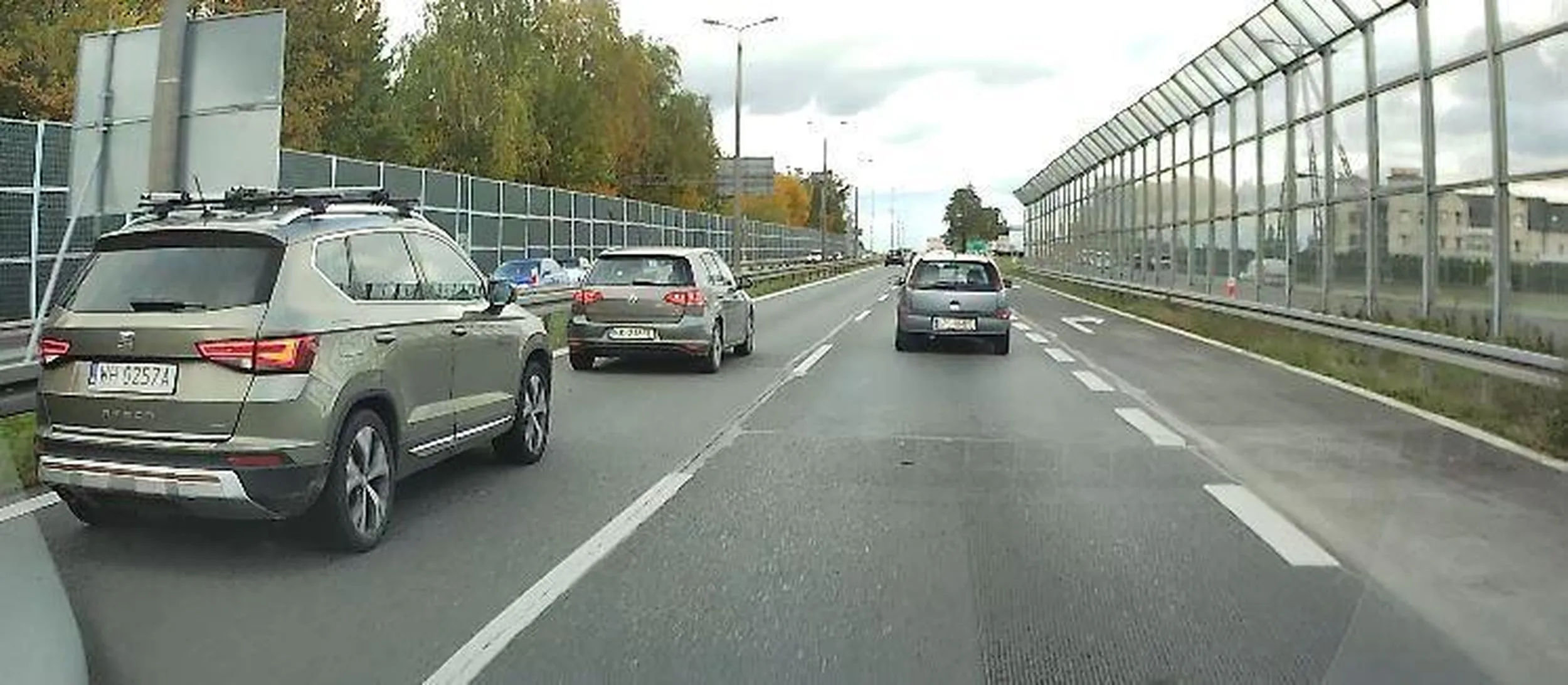 współczuję bycia glonojadem