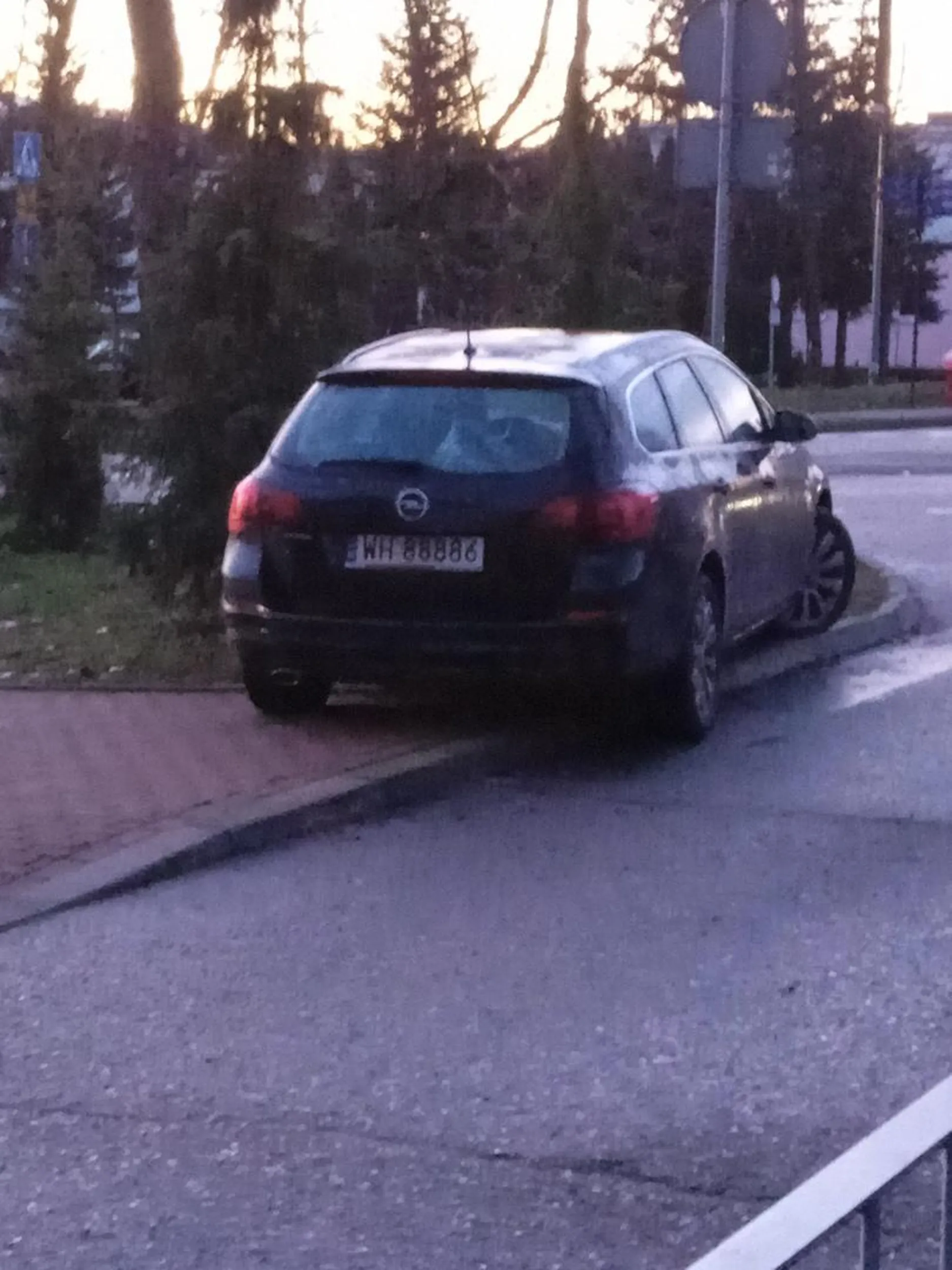 Stanął na trawnik tuż przy parkingu