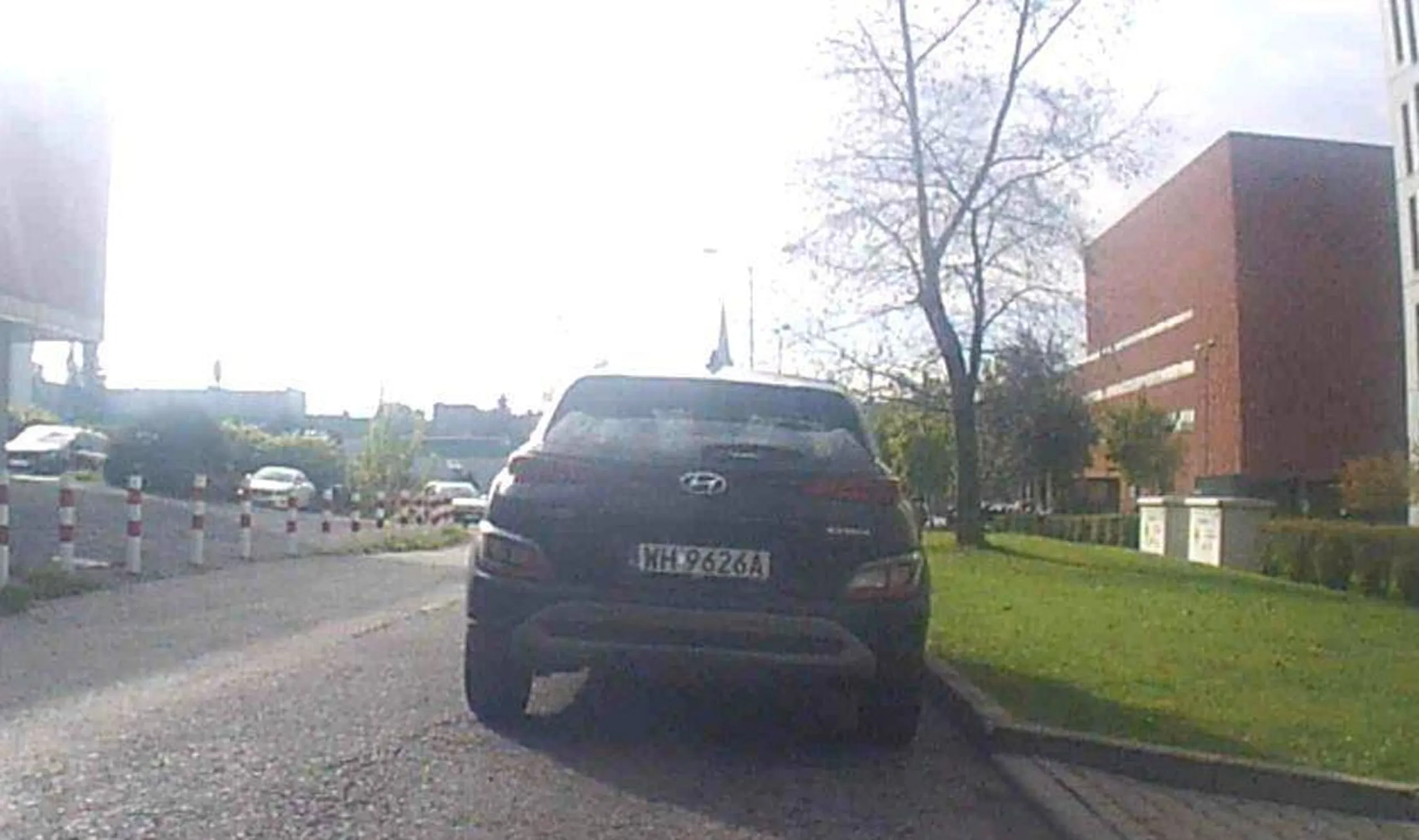 Co tam zakaz parkowania i prywatna droga! Patologia zostawia auto wszędzie za darmo po co płacić 5 złotych za parking świnie nie muszą