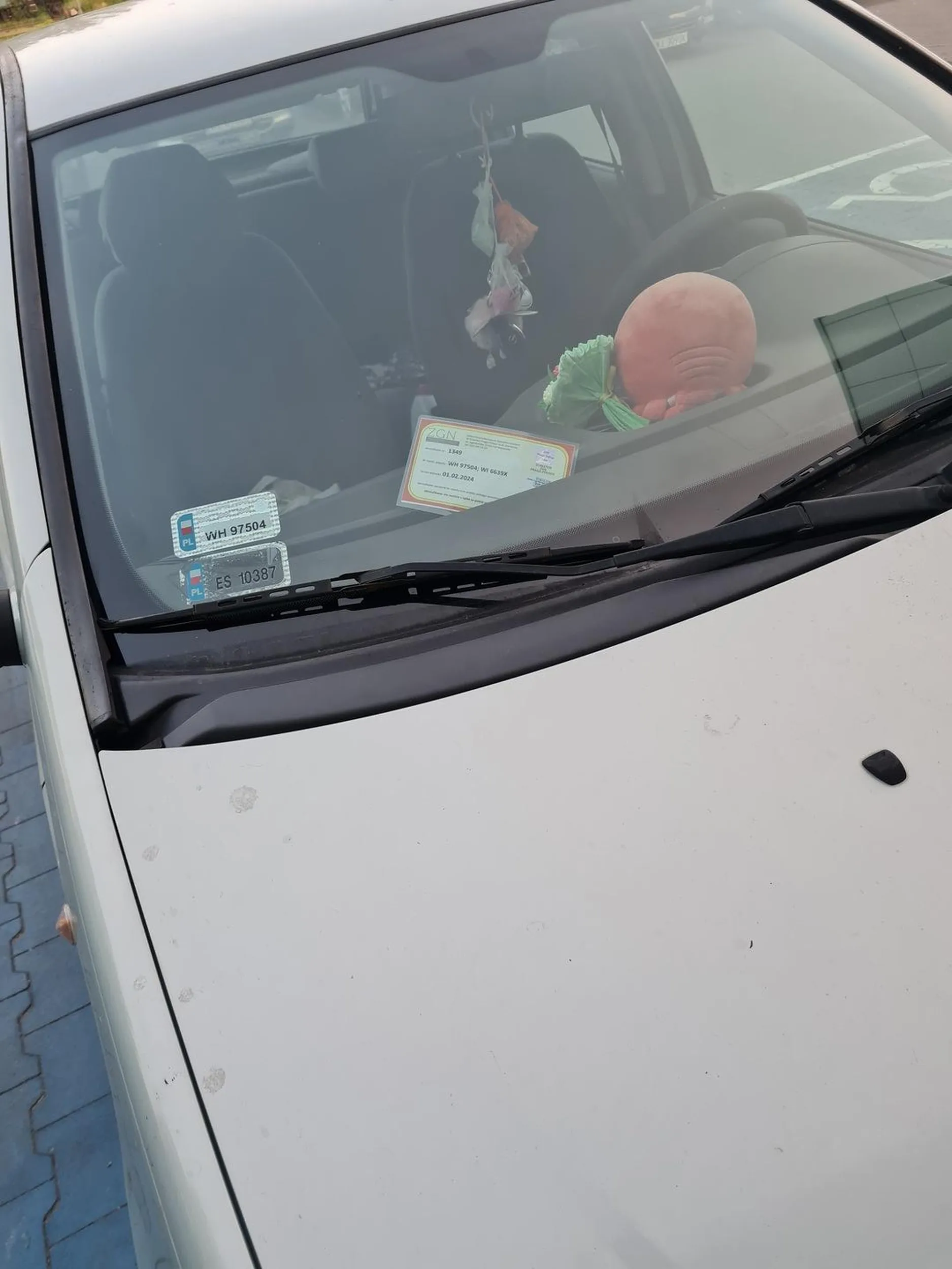 Parkowanie na miejscu dla niepełnosprawnych przy użyciu kart ZGN