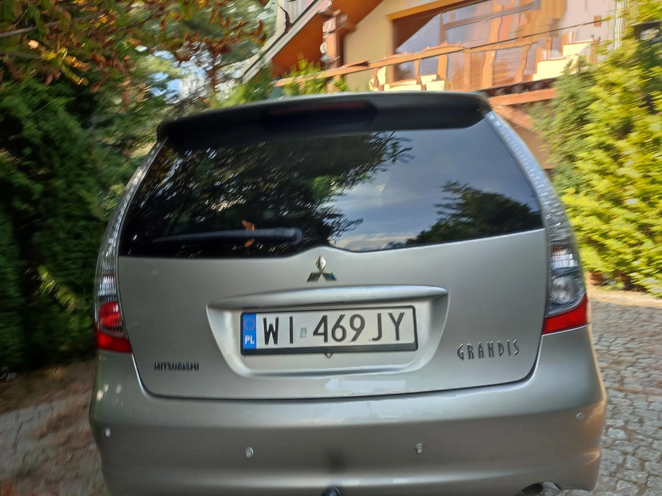 Grandis stoi legalnie