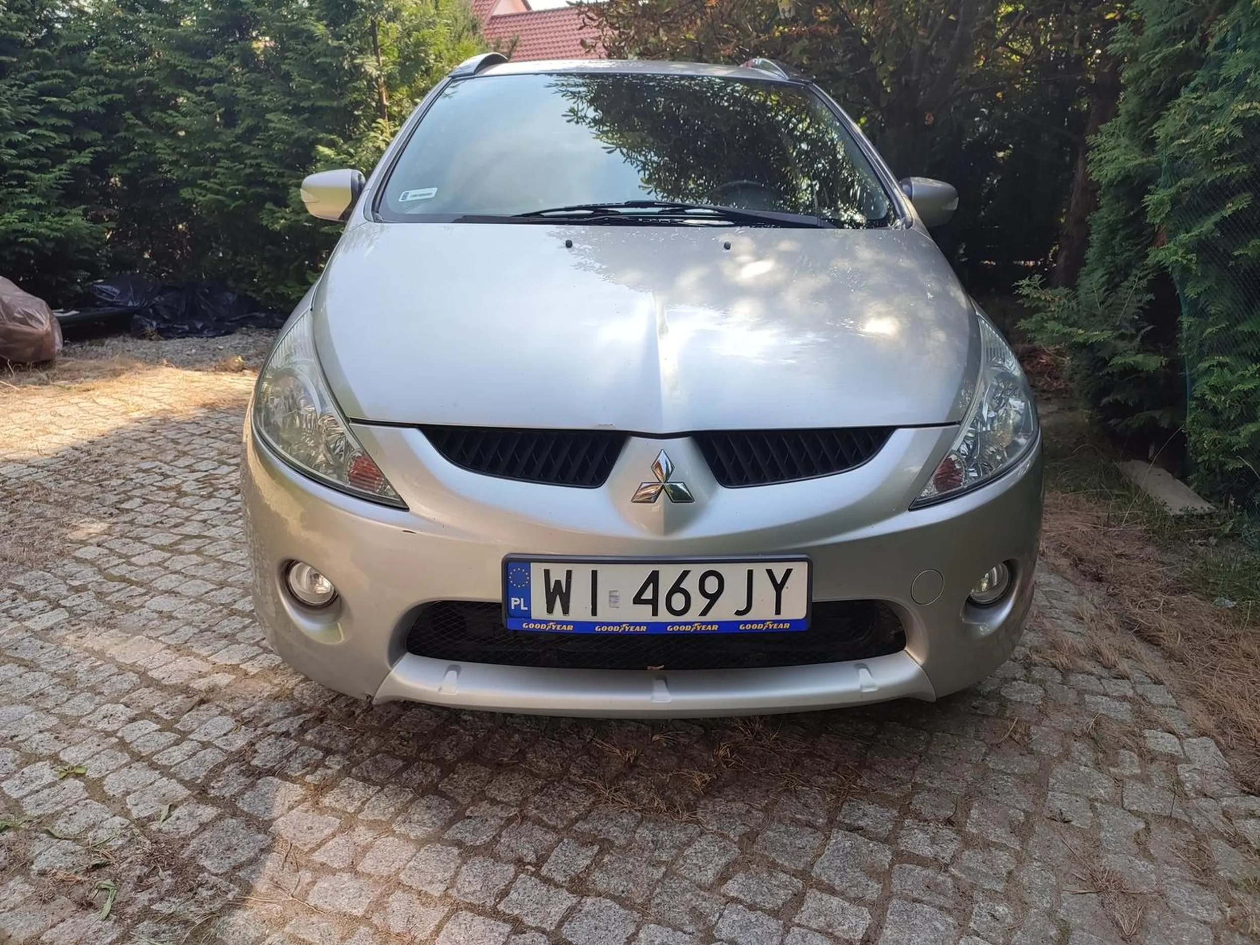 Grandis stoi legalnie