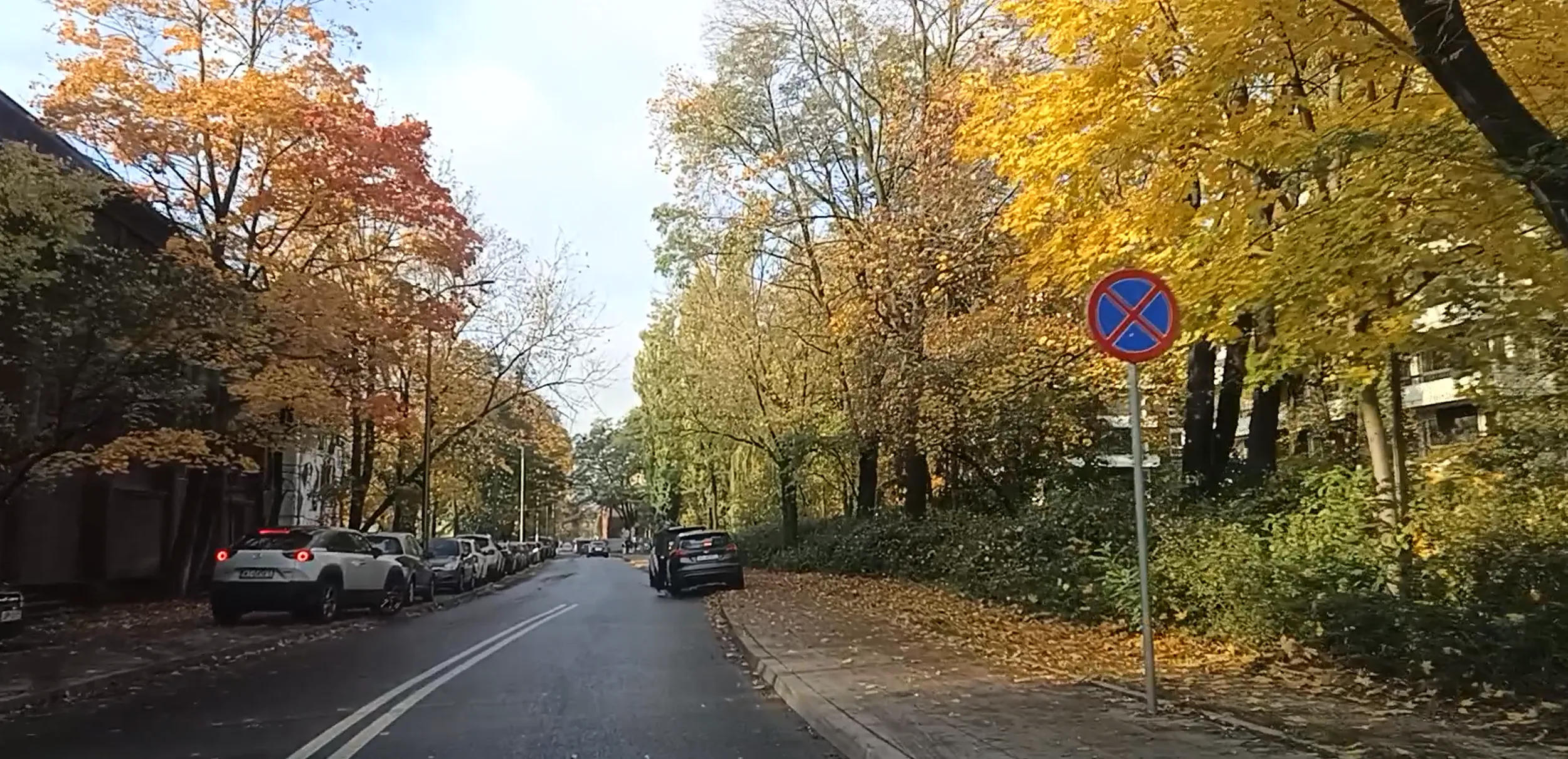 Tego kierowcy też nie obowiązuje zakaz zatrzymywania się i postoju, bo ma w dupie prawo. Pewnie to kolejny zwolennik Platformy Obywatelskiej ?