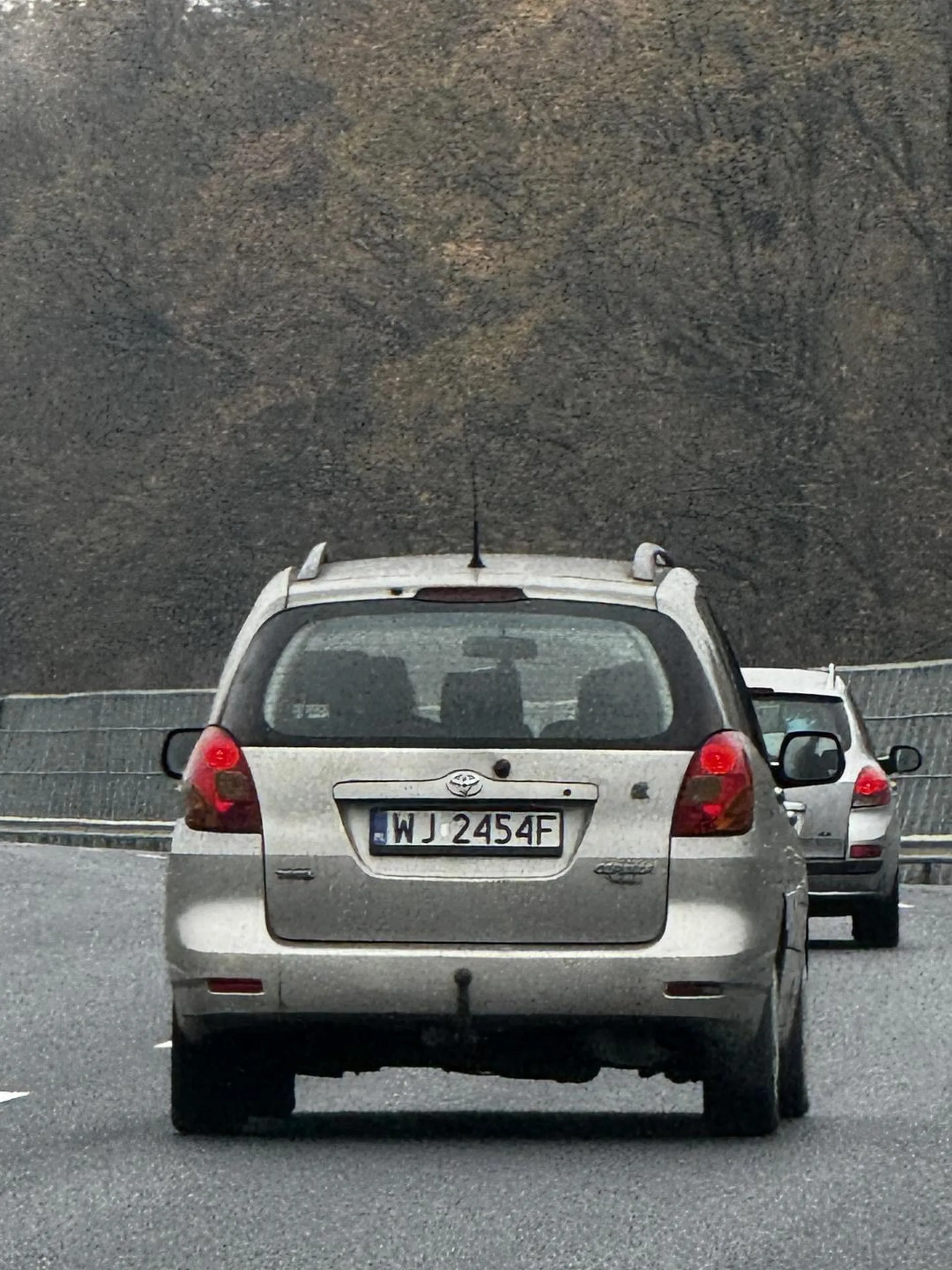 Król środkowego pasa