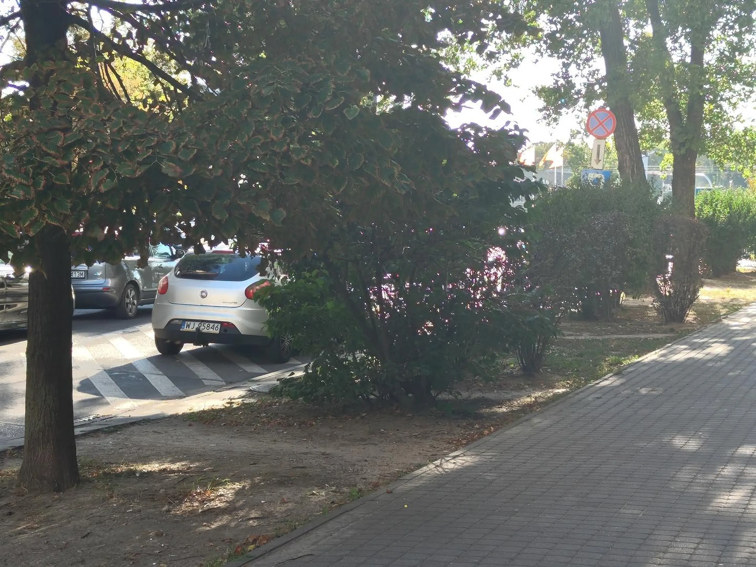 Zakaz zatrzymywania się i postoju + postój w miejscu zakazanym. Widocznie farbowana brunetka.