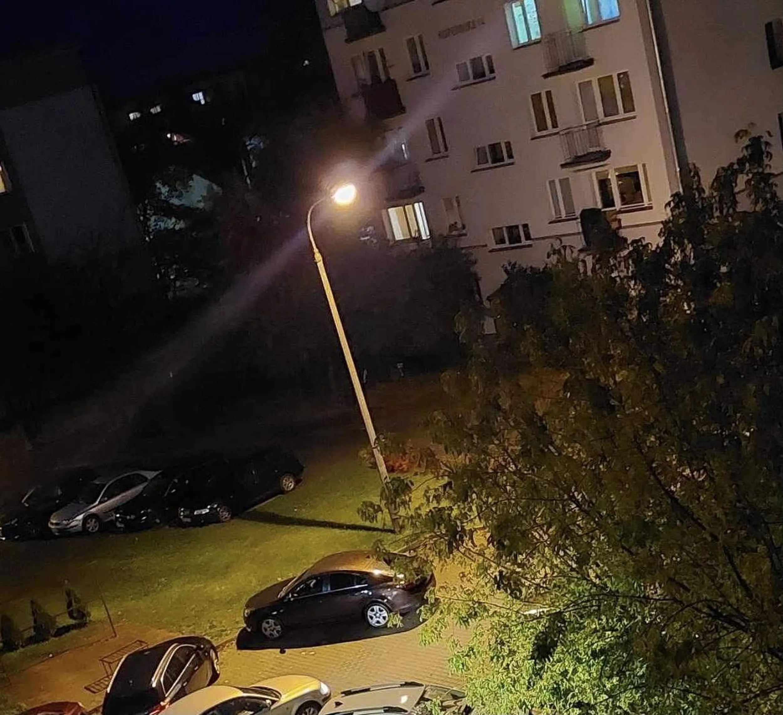 Pani ewidentnie nie zna znaków jadąc pod zakaz również zostawiła tak pojazd