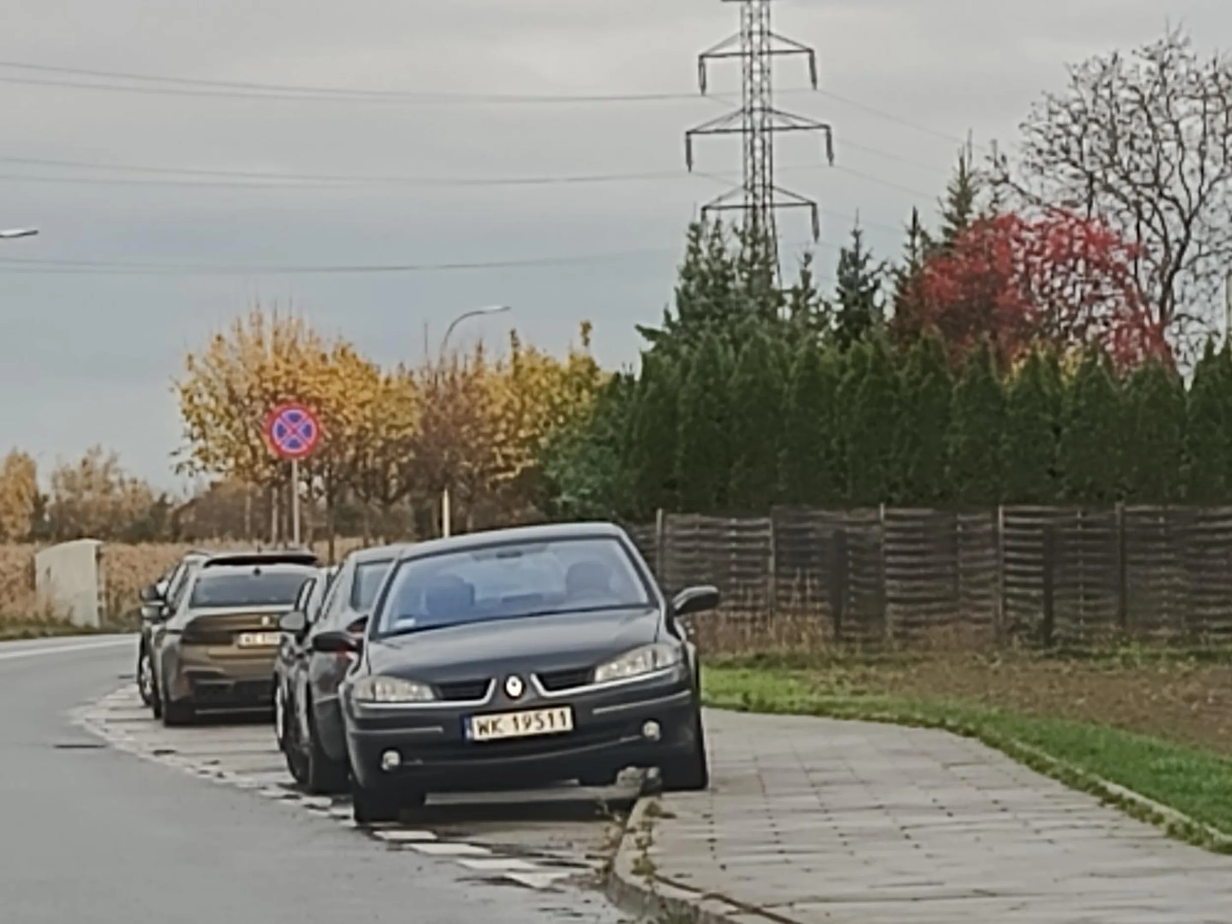 W tym miejscu parkując utrudnia pan widoczność na jezdni ze skrzyżowania. Proszę tu nie parkować.