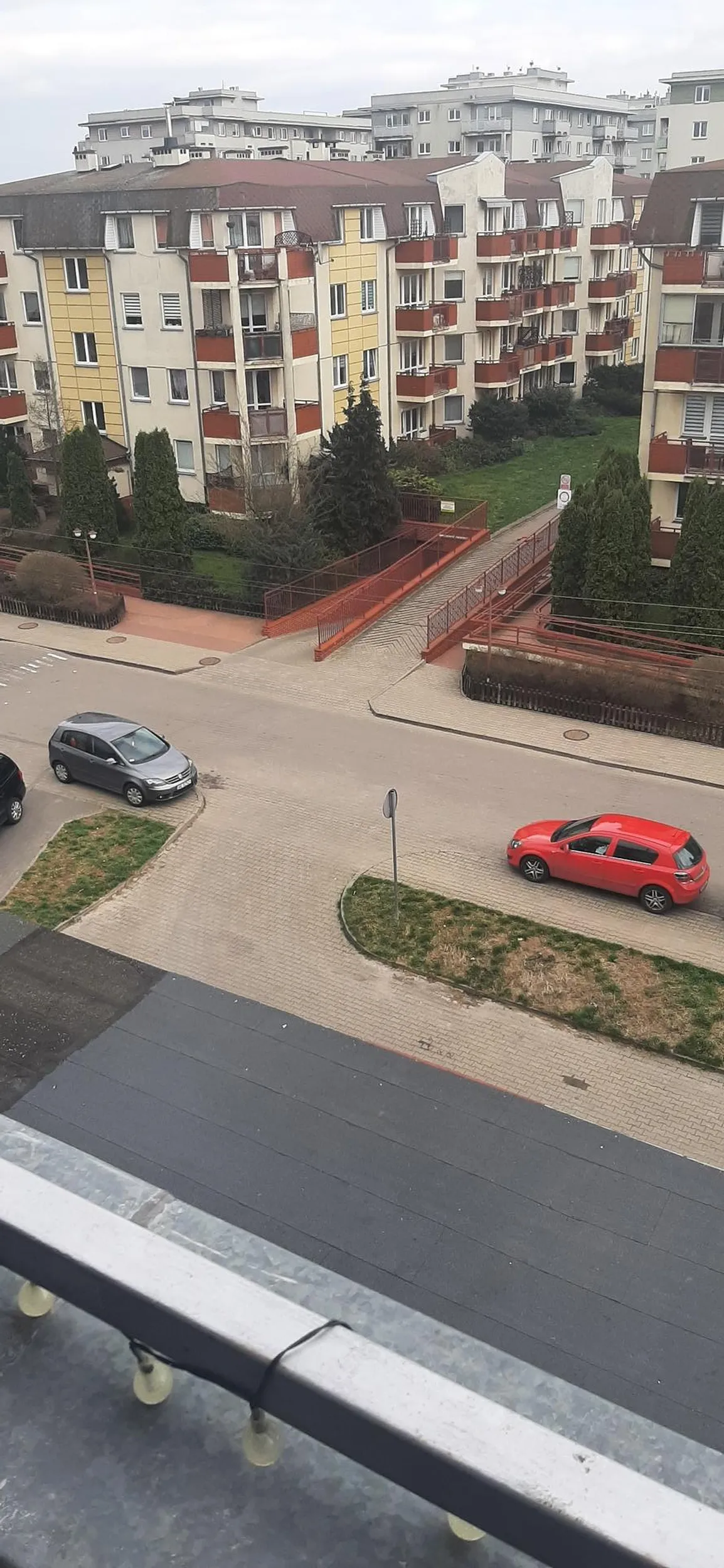 Święta krowa staje na chodniku