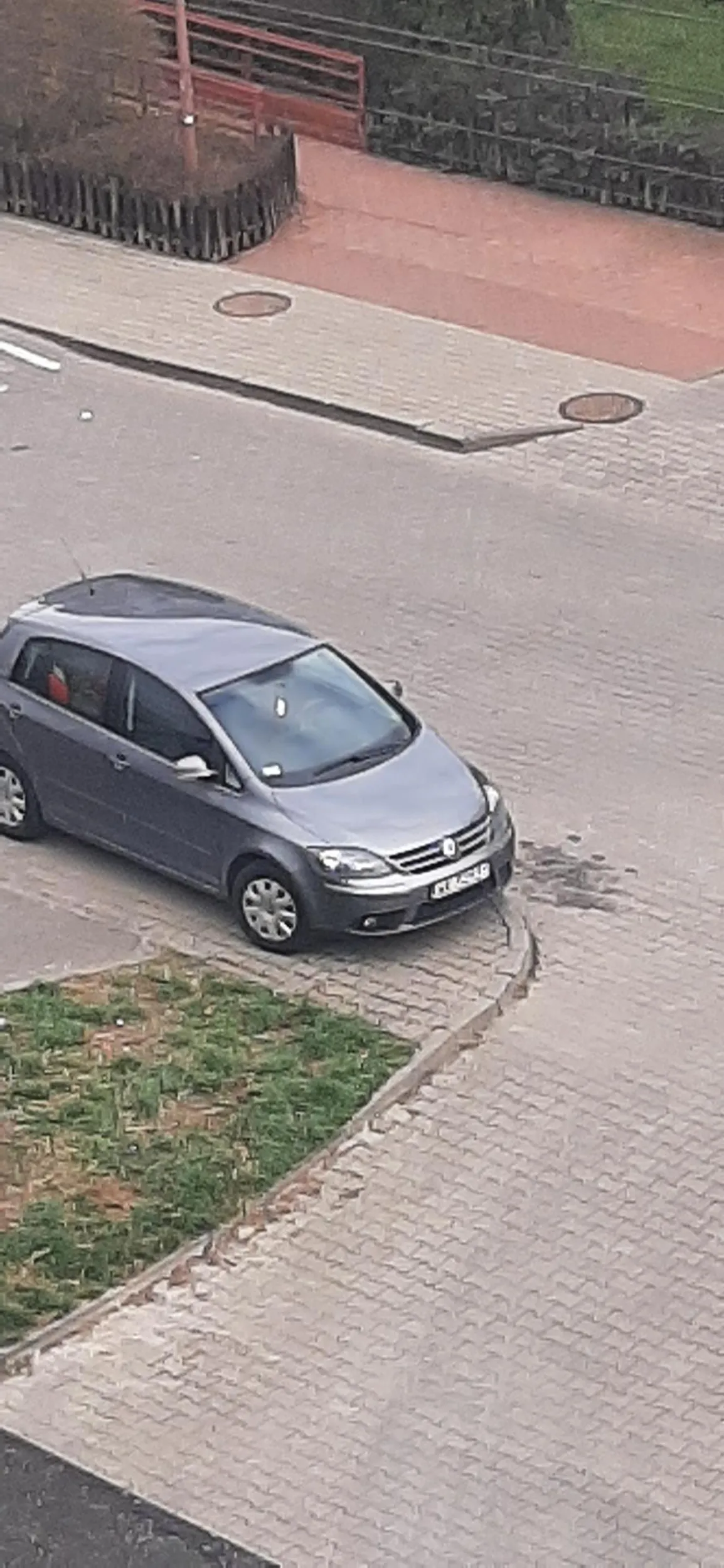 Święta krowa staje na chodniku