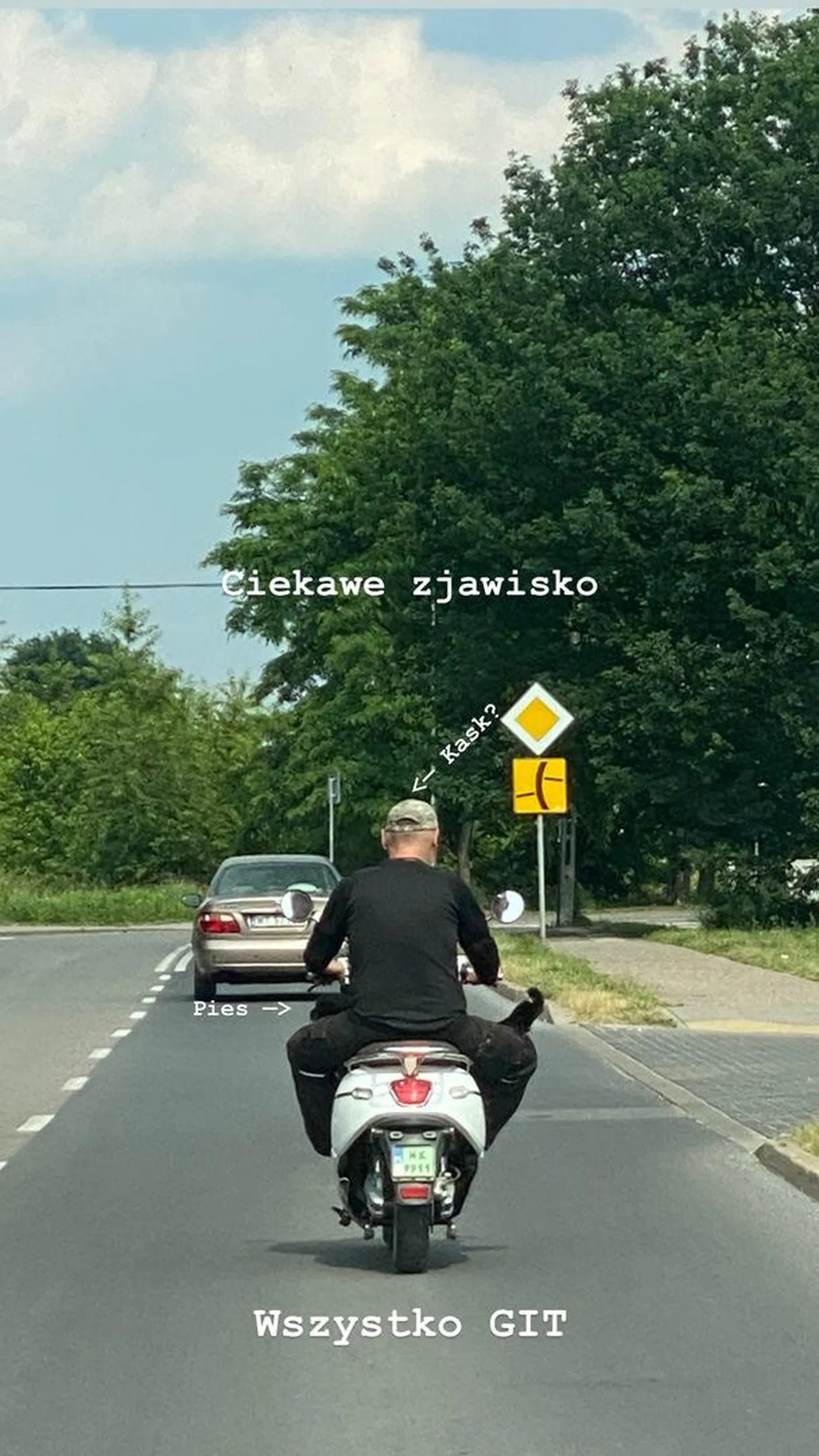 Facet na skuterze, bez kasku, z psem pod nogami. Zdrowo ponad 60km/h ?